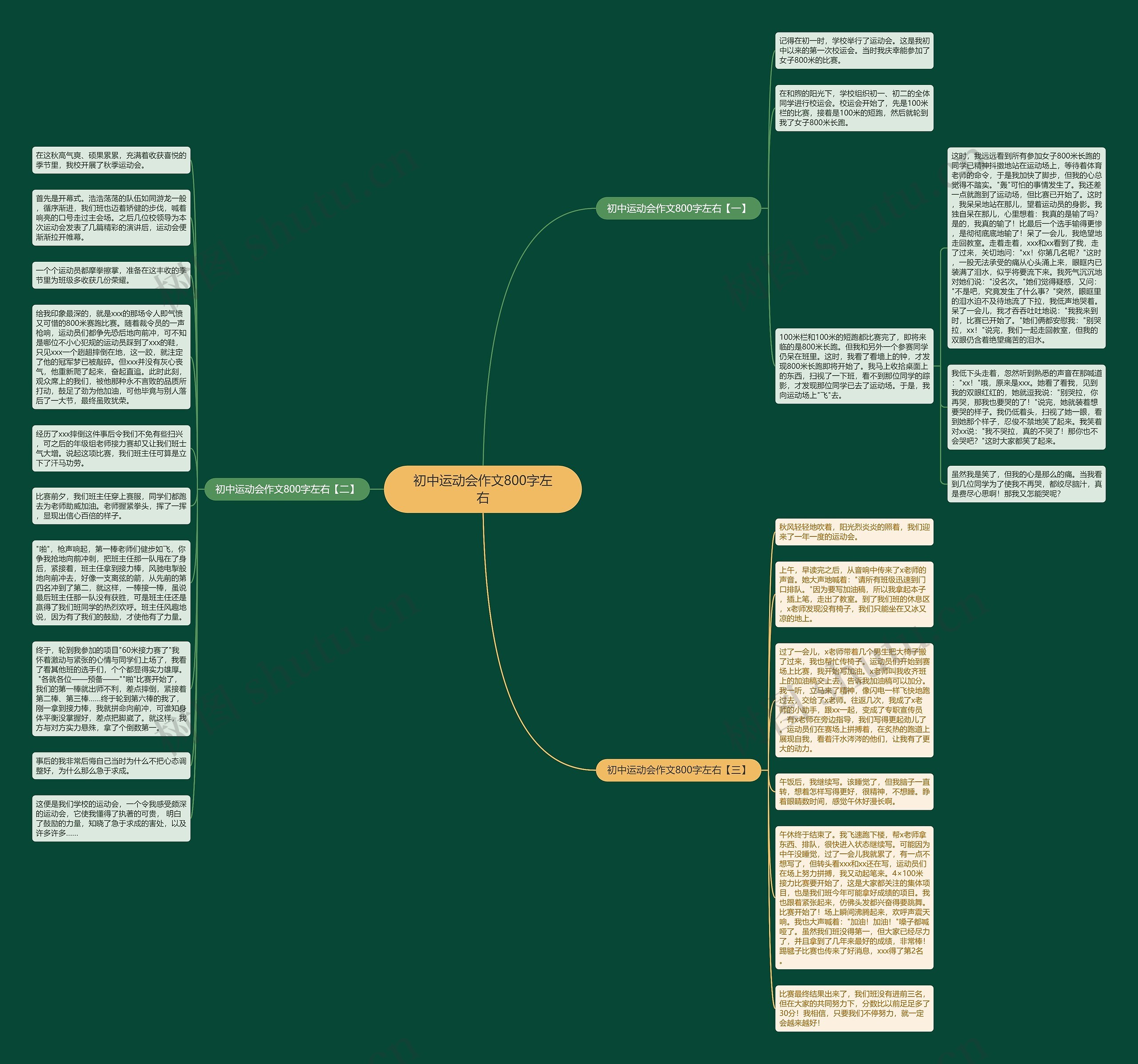 初中运动会作文800字左右思维导图