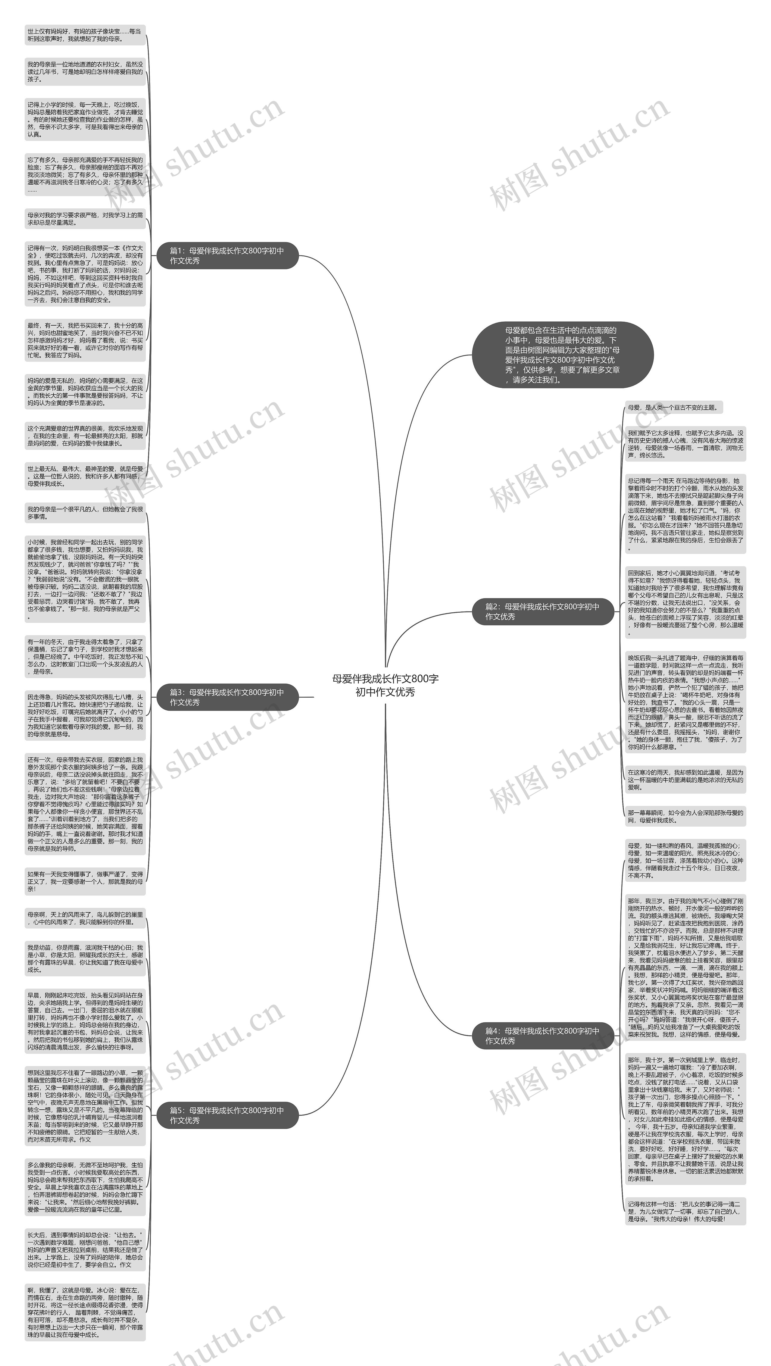 母爱伴我成长作文800字初中作文优秀思维导图