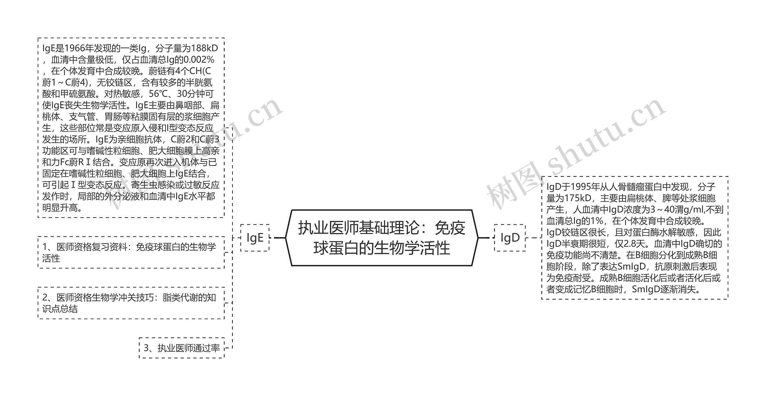 执业医师基础理论：免疫球蛋白的生物学活性思维导图