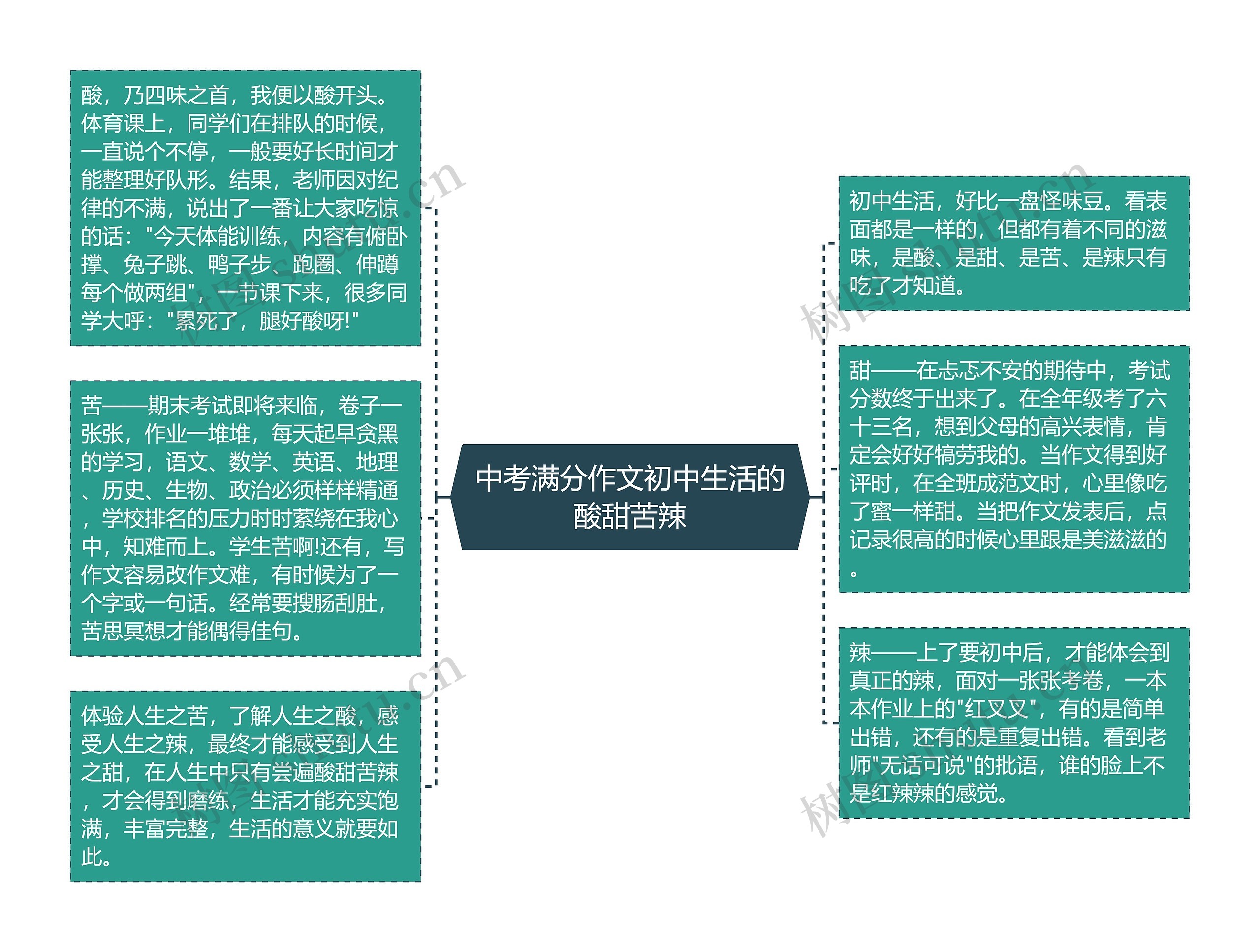 中考满分作文初中生活的酸甜苦辣思维导图