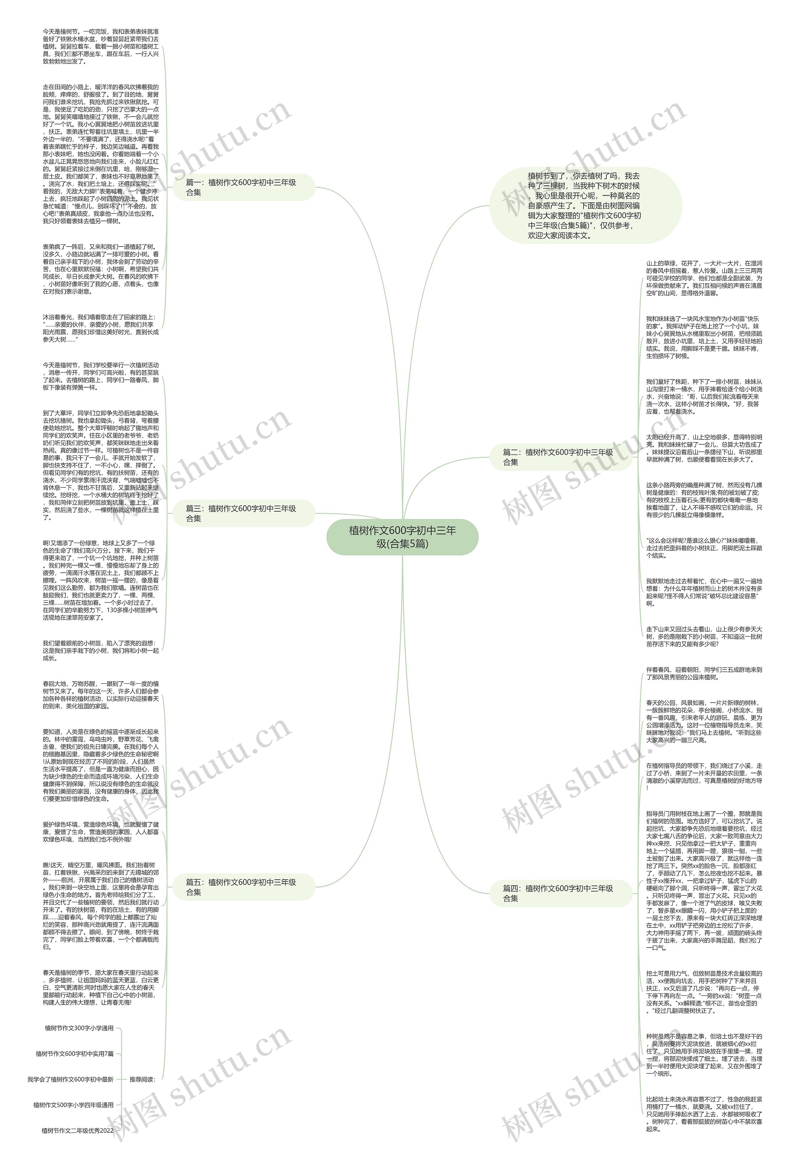 植树作文600字初中三年级(合集5篇)思维导图