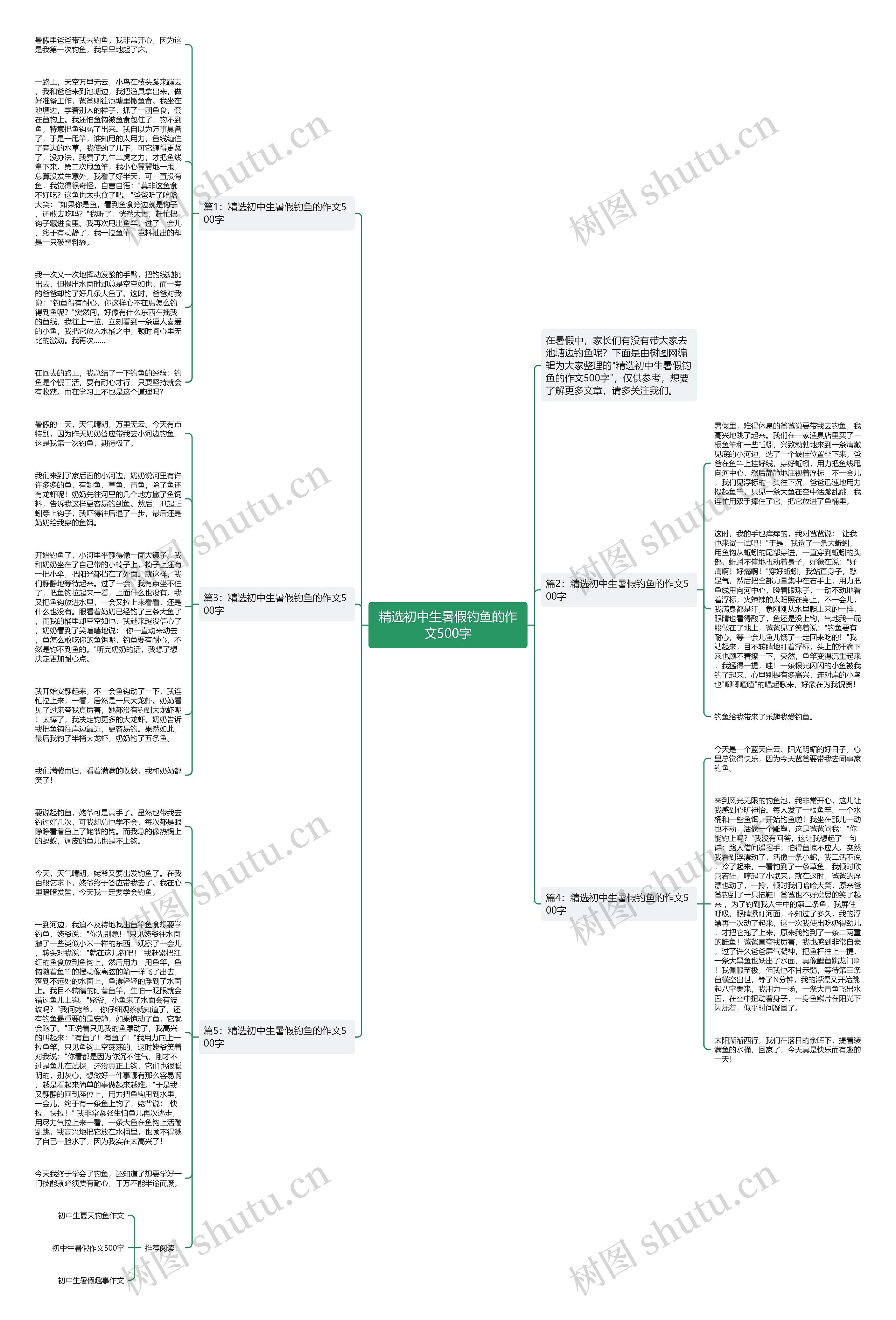 精选初中生暑假钓鱼的作文500字思维导图