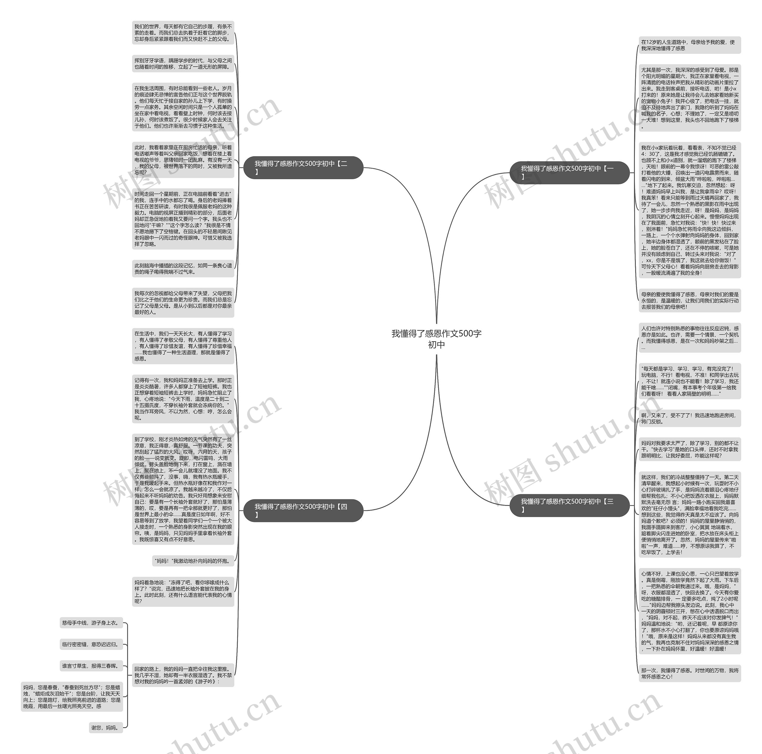 我懂得了感恩作文500字初中思维导图