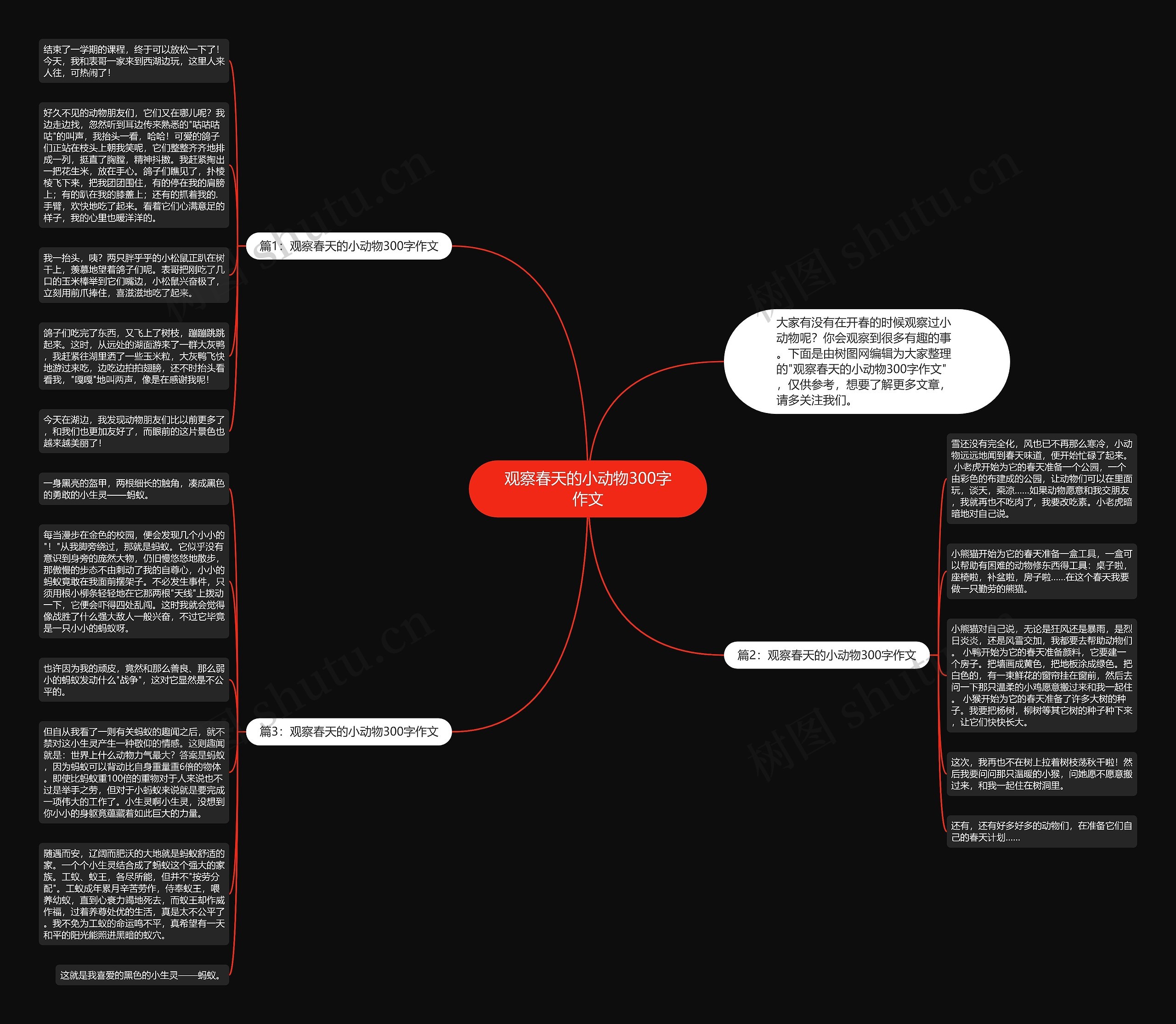 观察春天的小动物300字作文思维导图高清图 观察春天的小动物300字作文思维导图