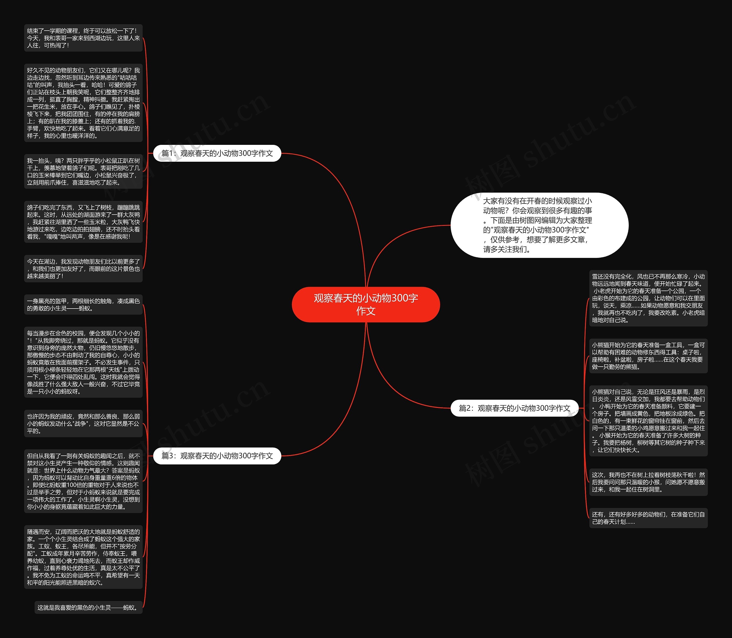 观察春天的小动物300字作文思维导图
