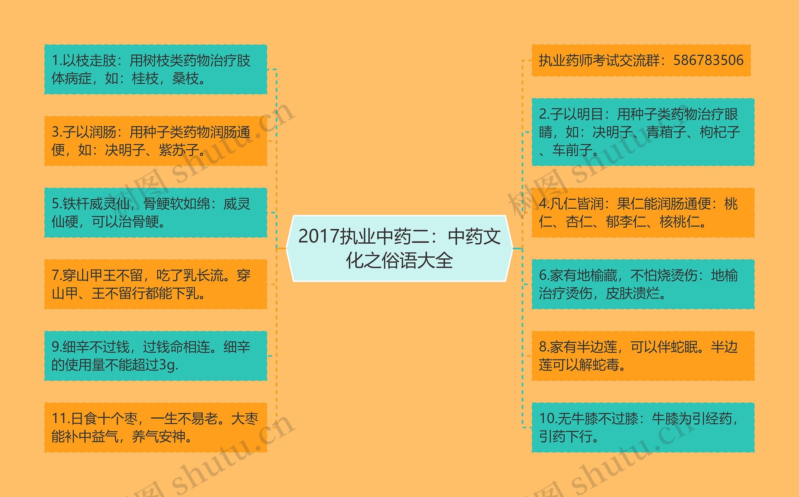 2017执业中药二：中药文化之俗语大全思维导图