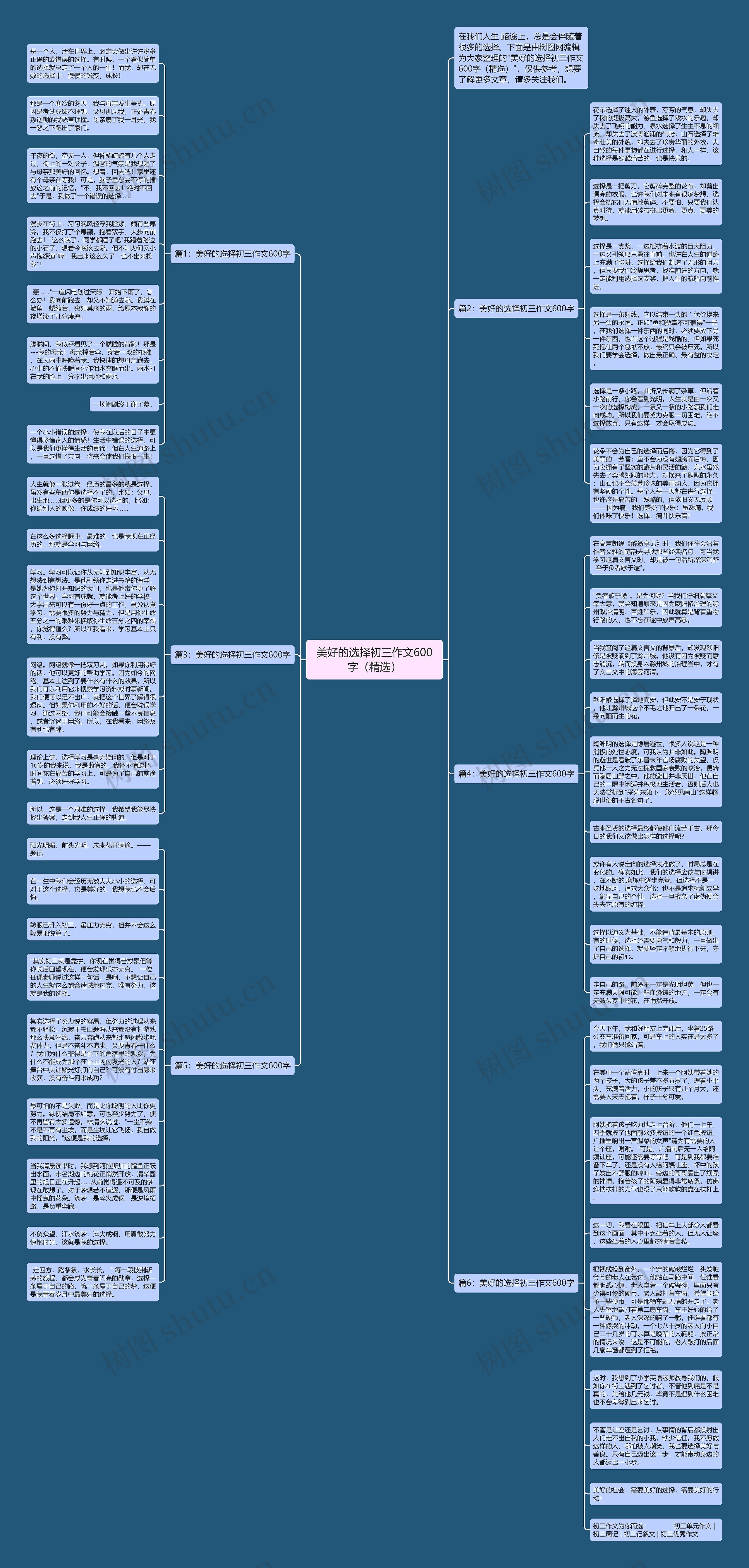 美好的选择初三作文600字（精选）思维导图