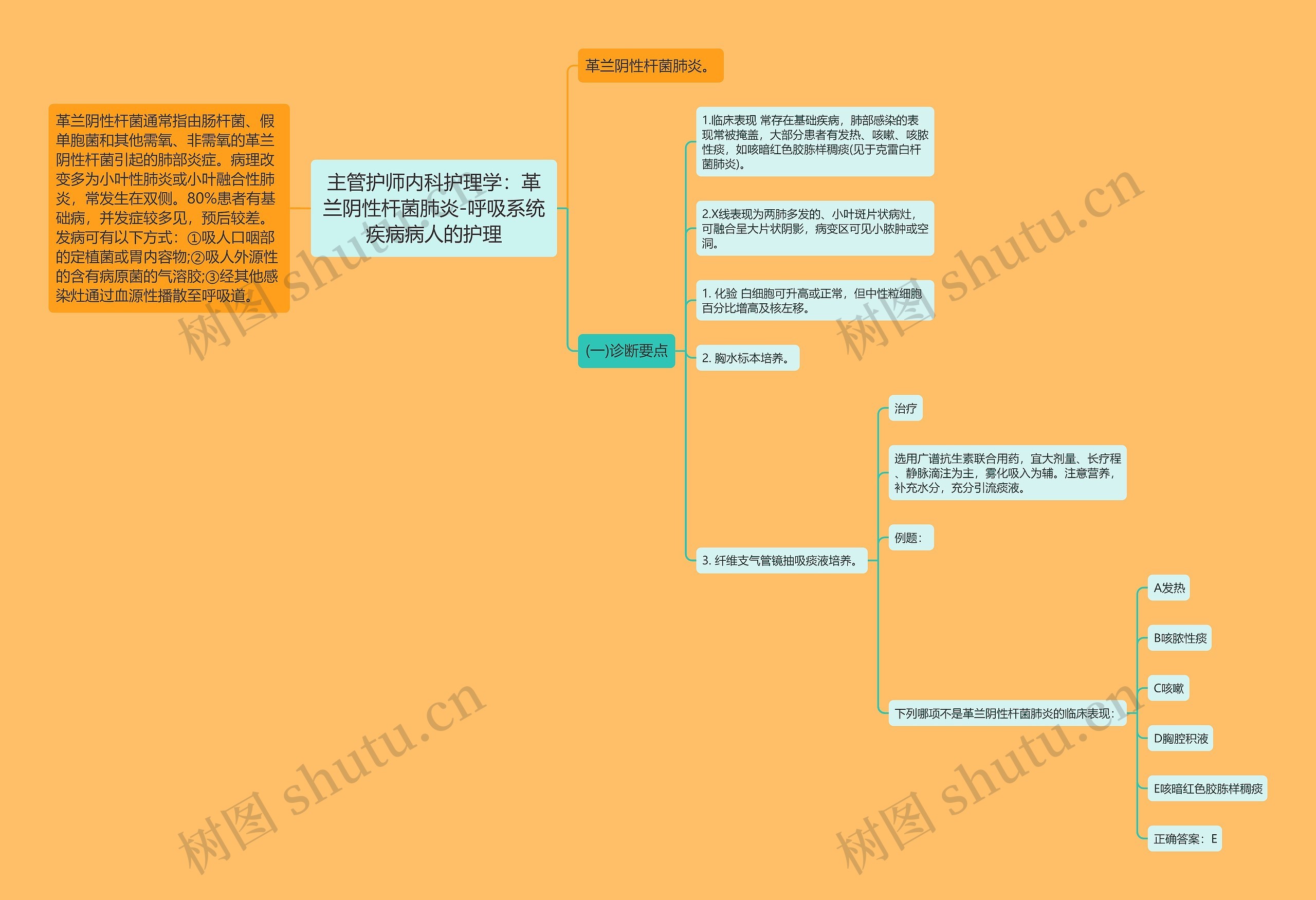 主管护师内科护理学：革兰阴性杆菌肺炎-呼吸系统疾病病人的护理思维导图