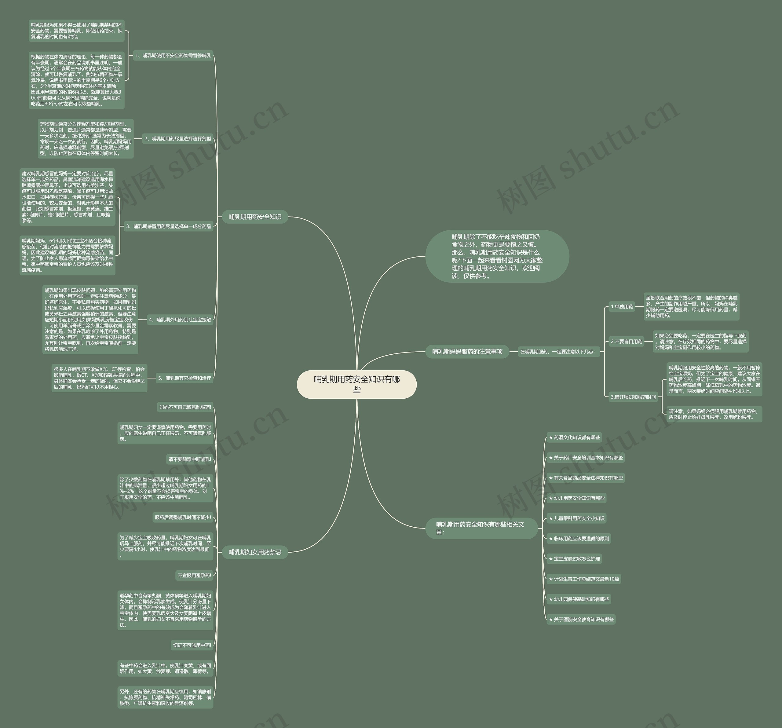 哺乳期用药安全知识有哪些思维导图