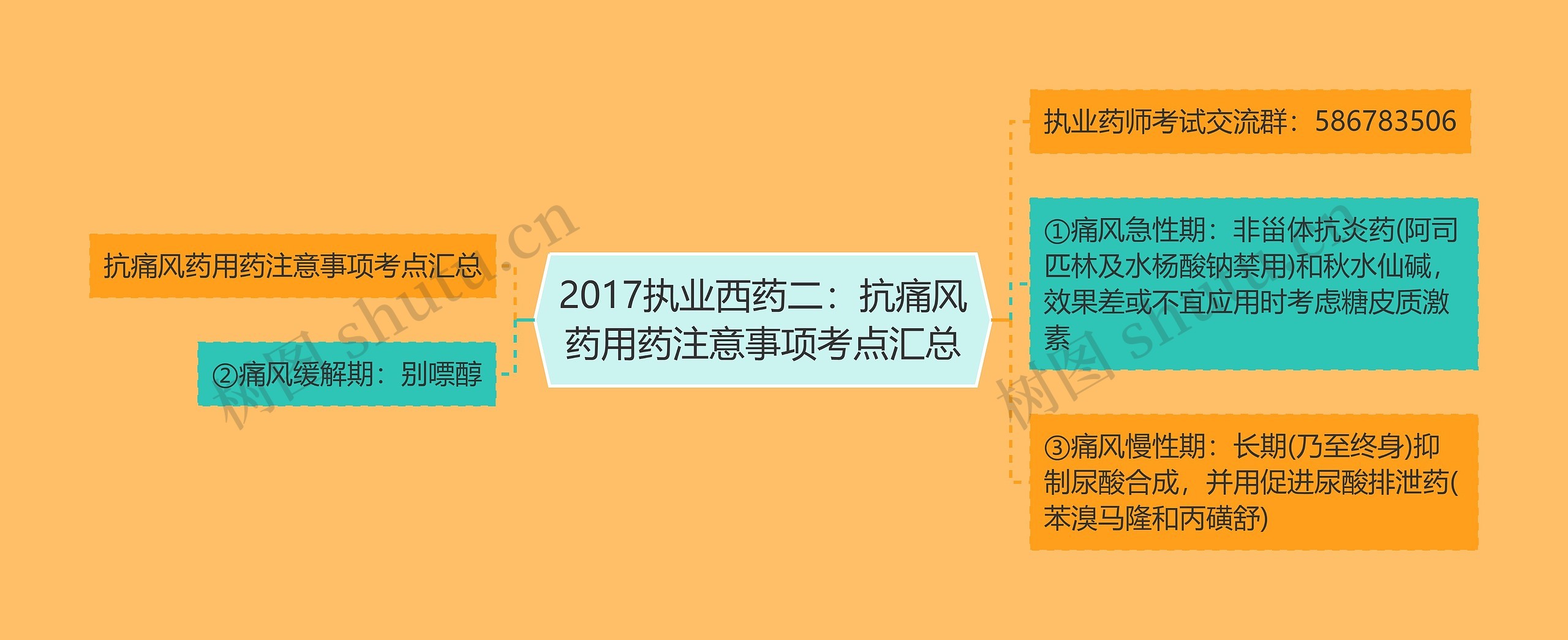 2017执业西药二：抗痛风药用药注意事项考点汇总