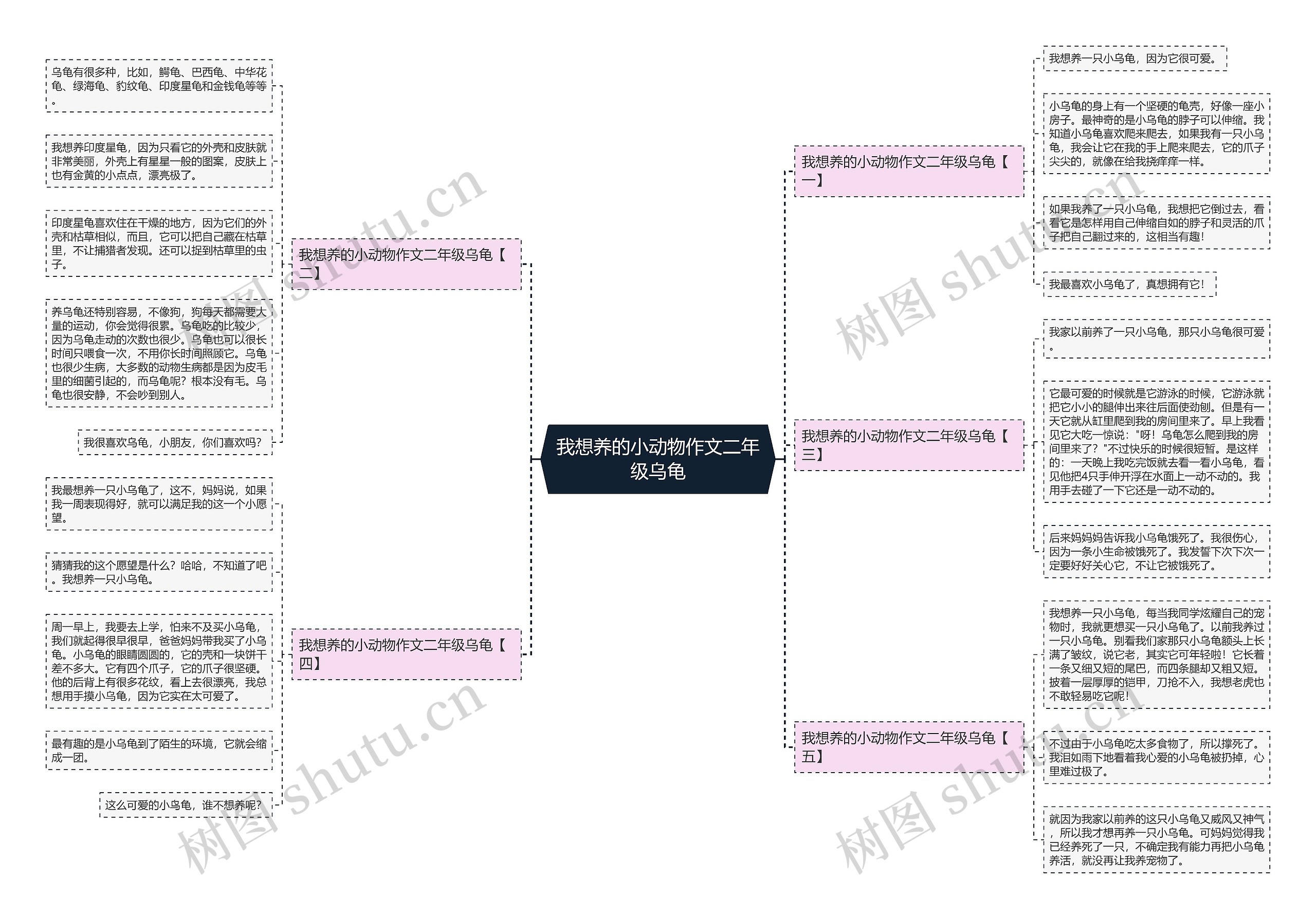 我想养的小动物作文二年级乌龟思维导图