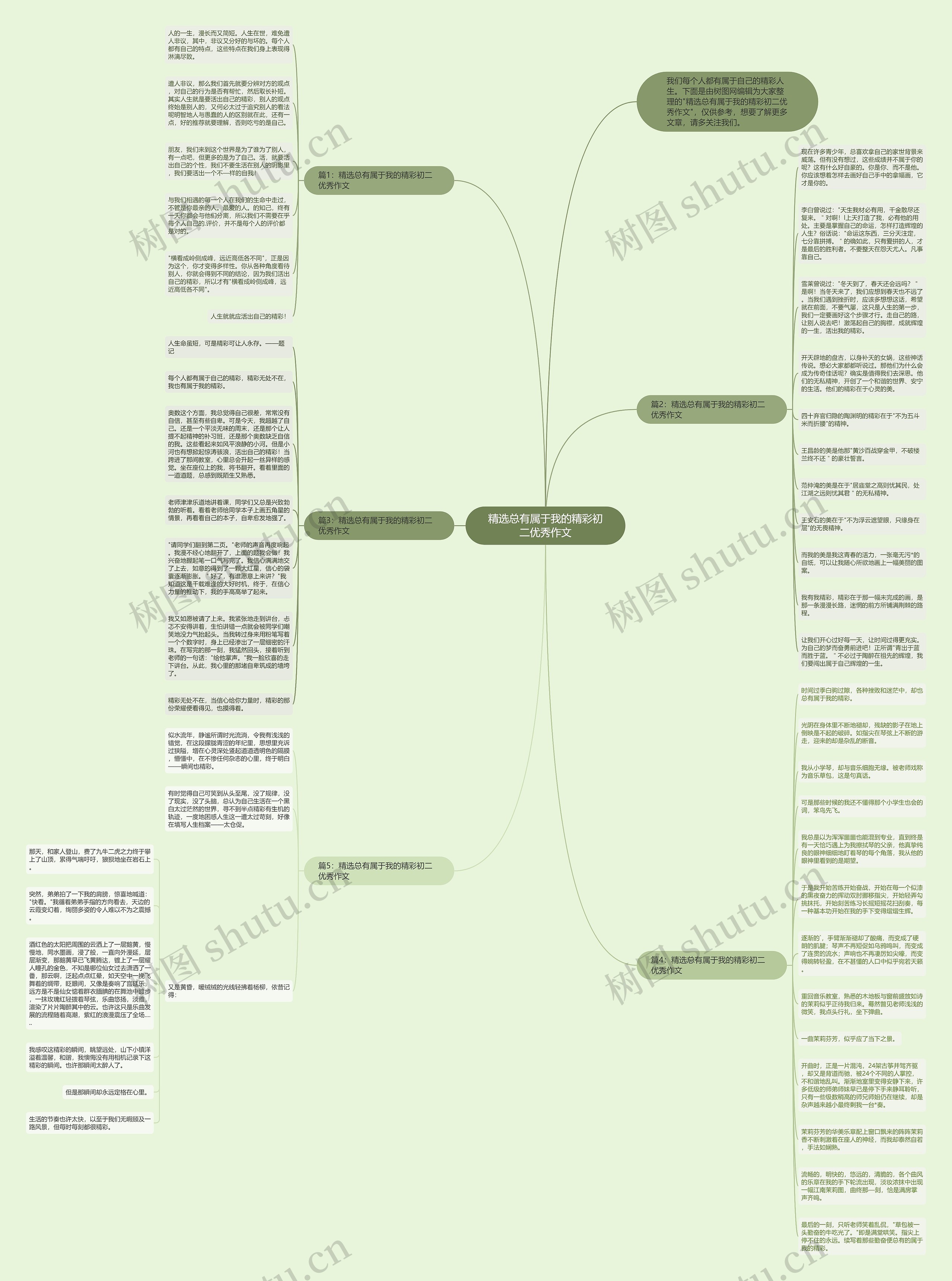 精选总有属于我的精彩初二优秀作文思维导图