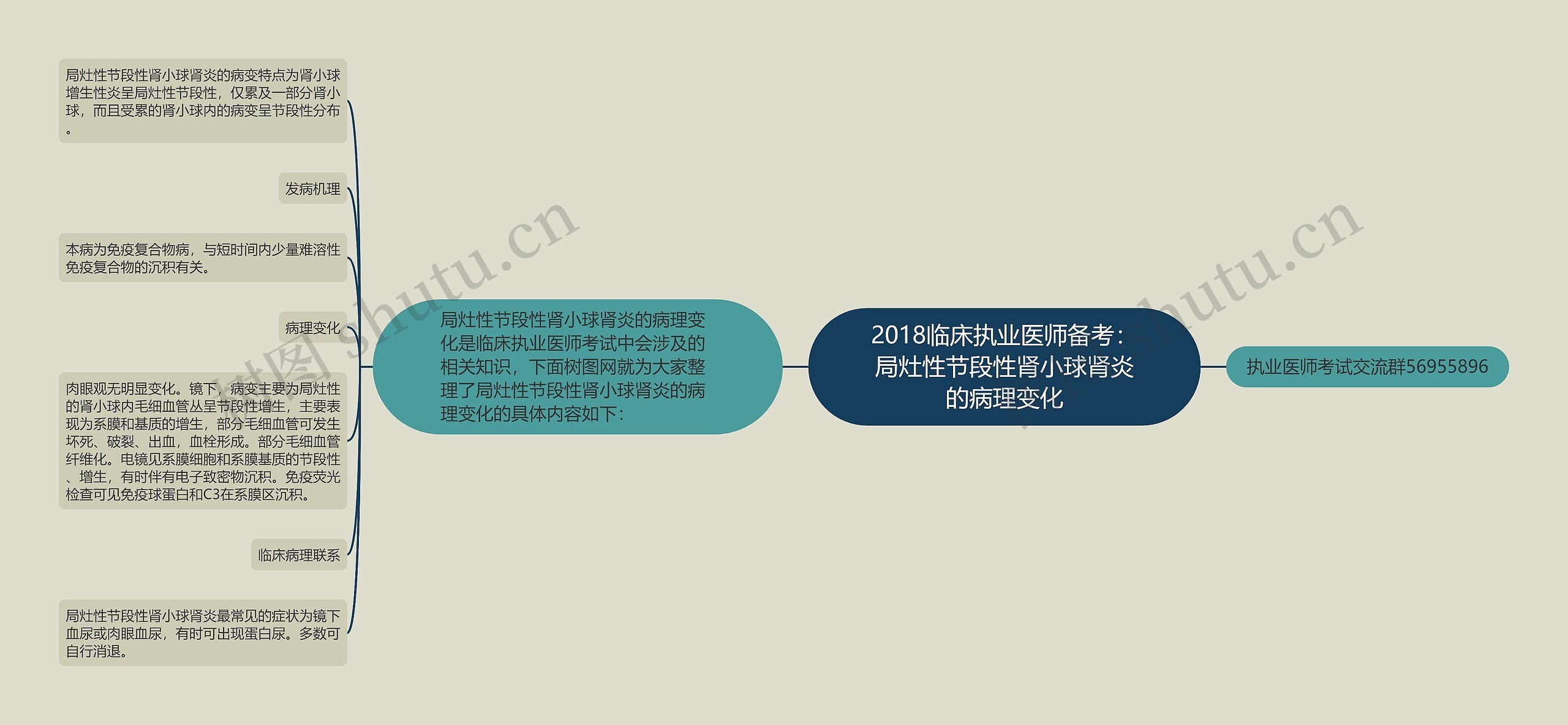 2018临床执业医师备考：局灶性节段性肾小球肾炎的病理变化思维导图