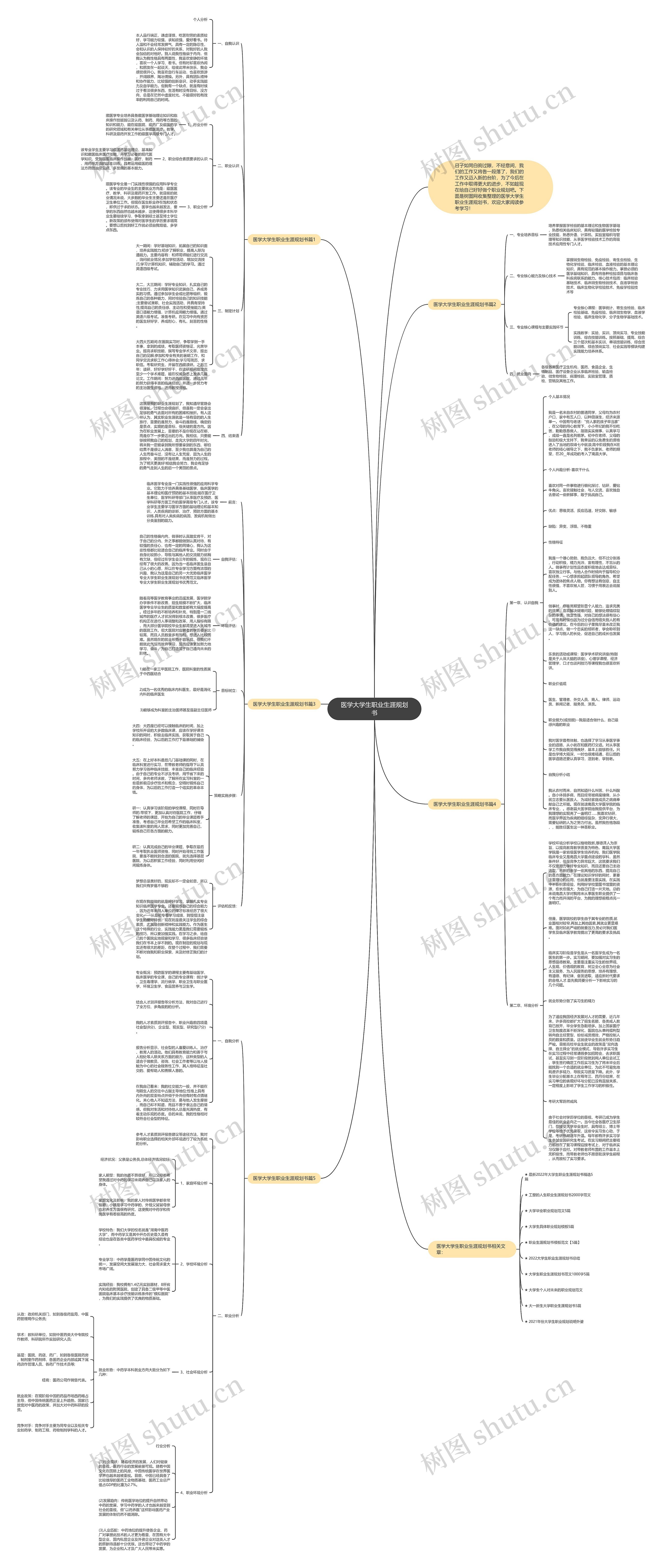 医学大学生职业生涯规划书思维导图