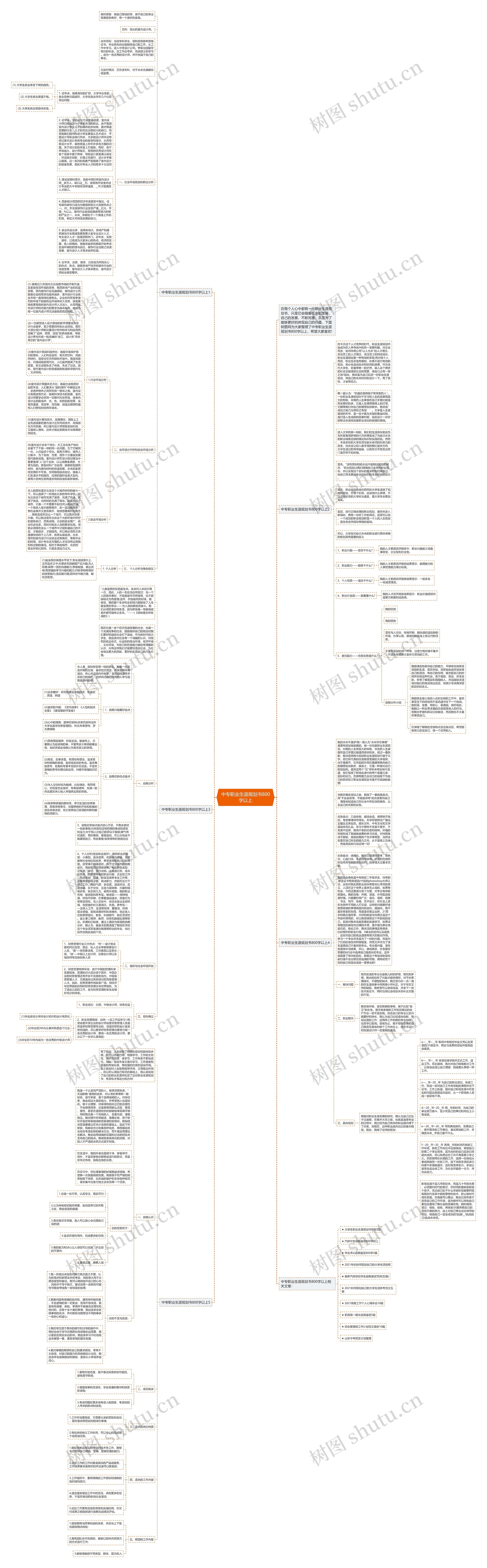 中专职业生涯规划书800字以上思维导图