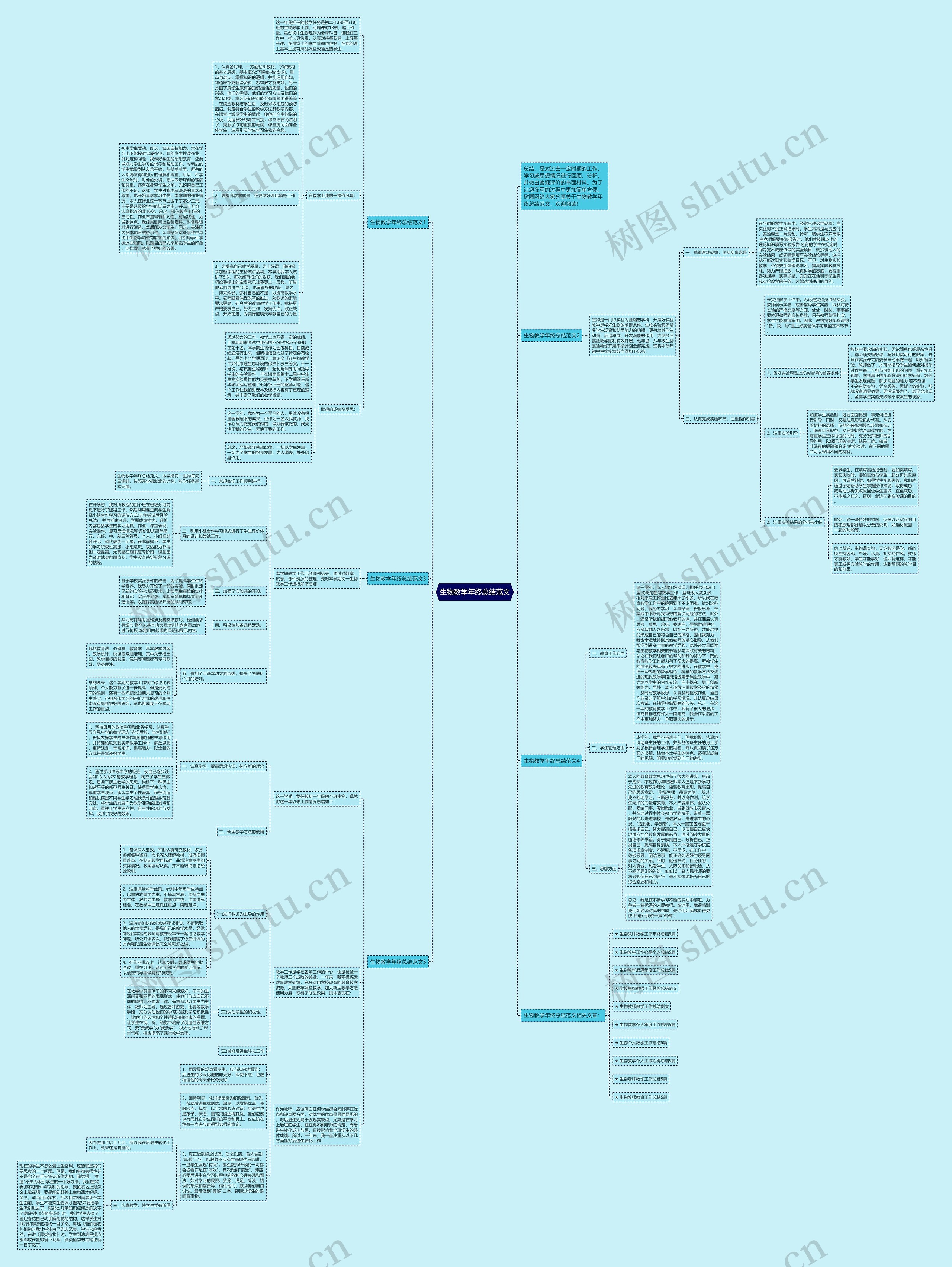 生物教学年终总结范文思维导图