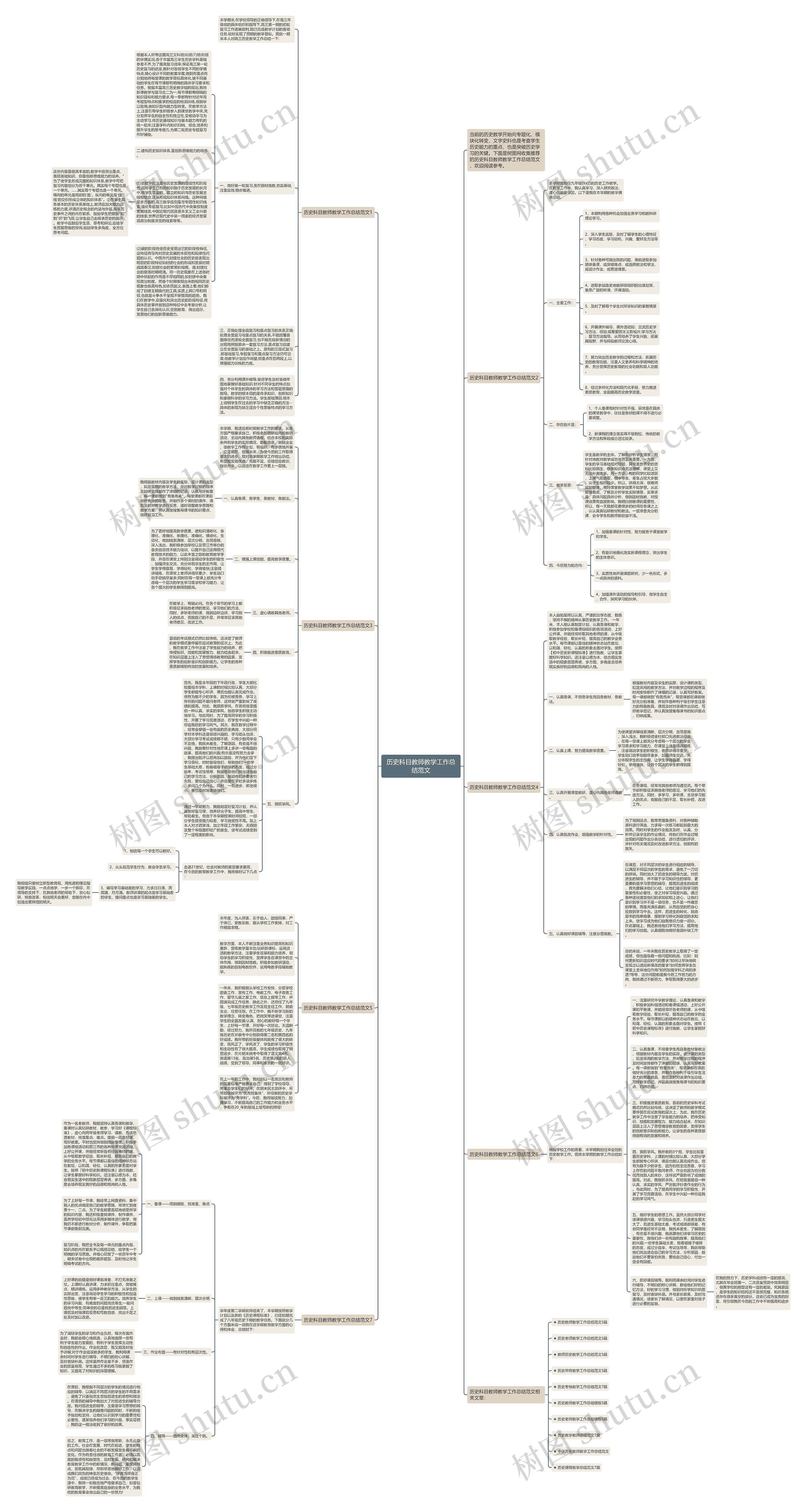 历史科目教师教学工作总结范文思维导图
