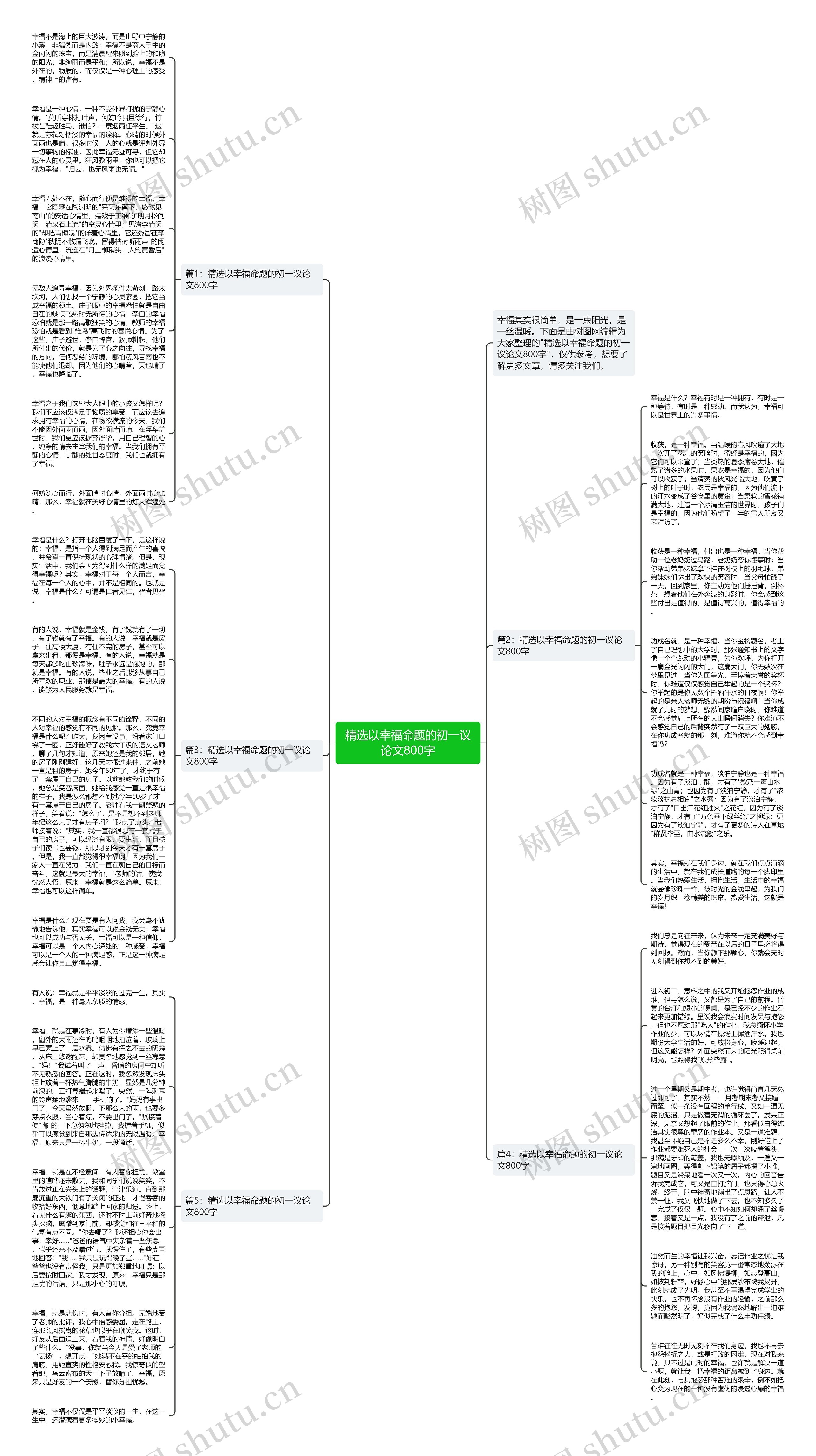 精选以幸福命题的初一议论文800字思维导图