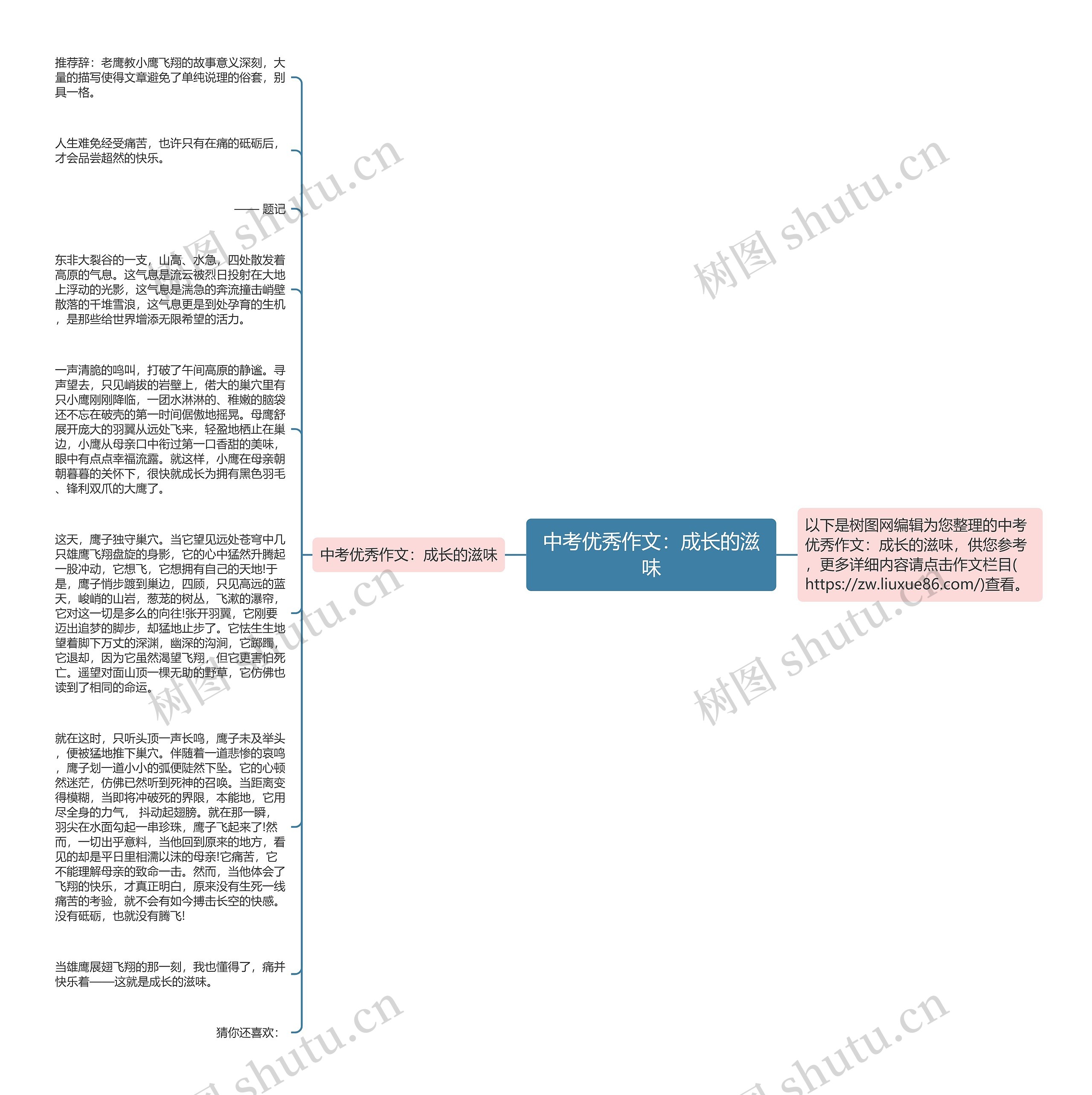 中考优秀作文：成长的滋味思维导图