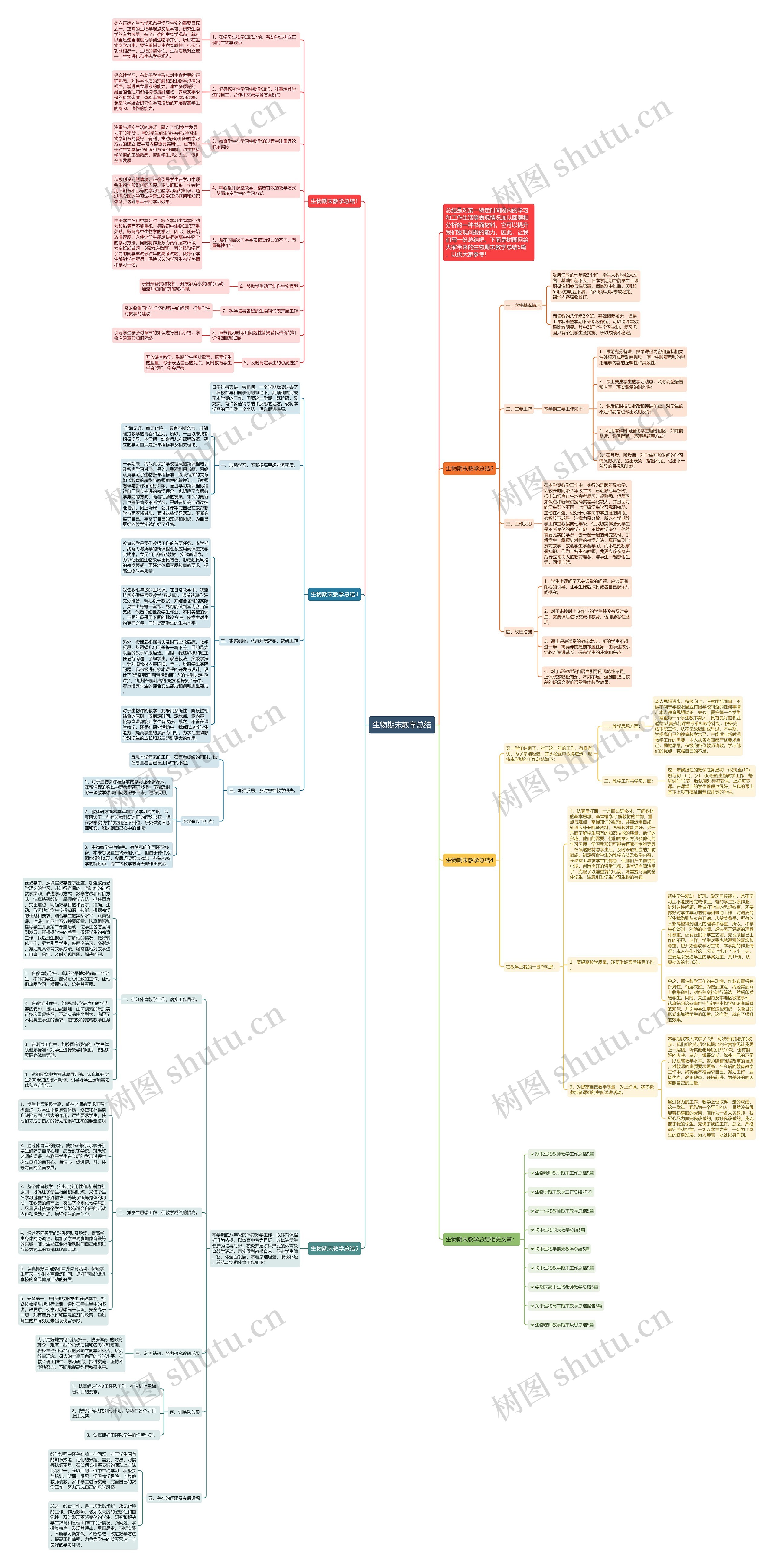 生物期末教学总结思维导图