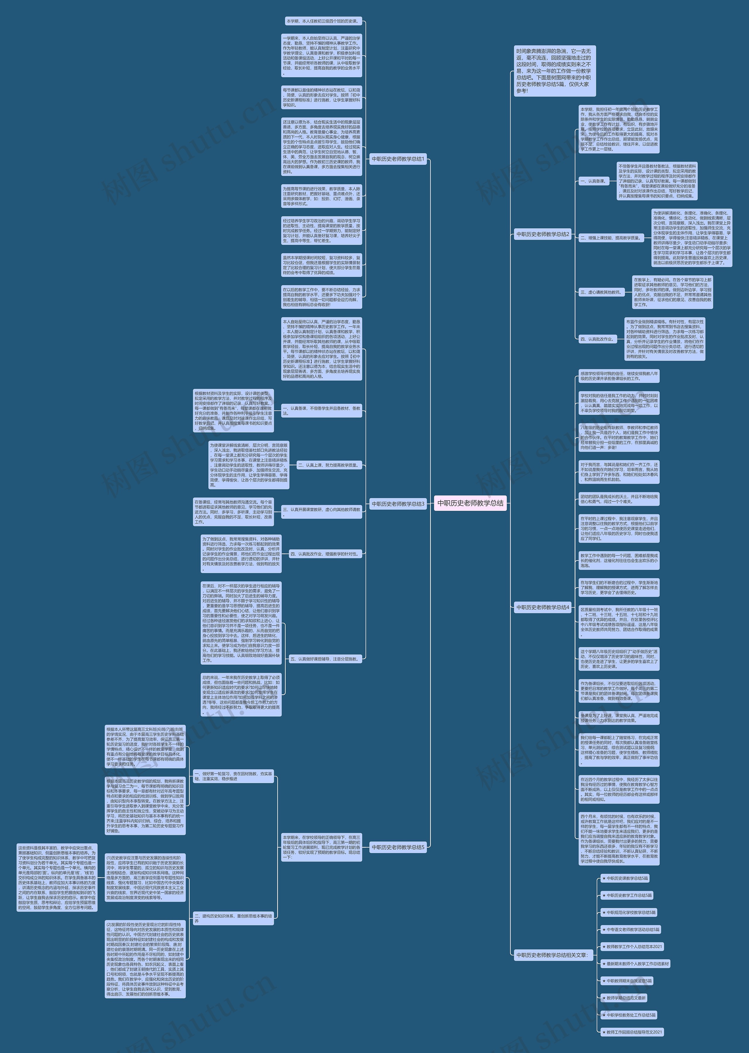 中职历史老师教学总结思维导图