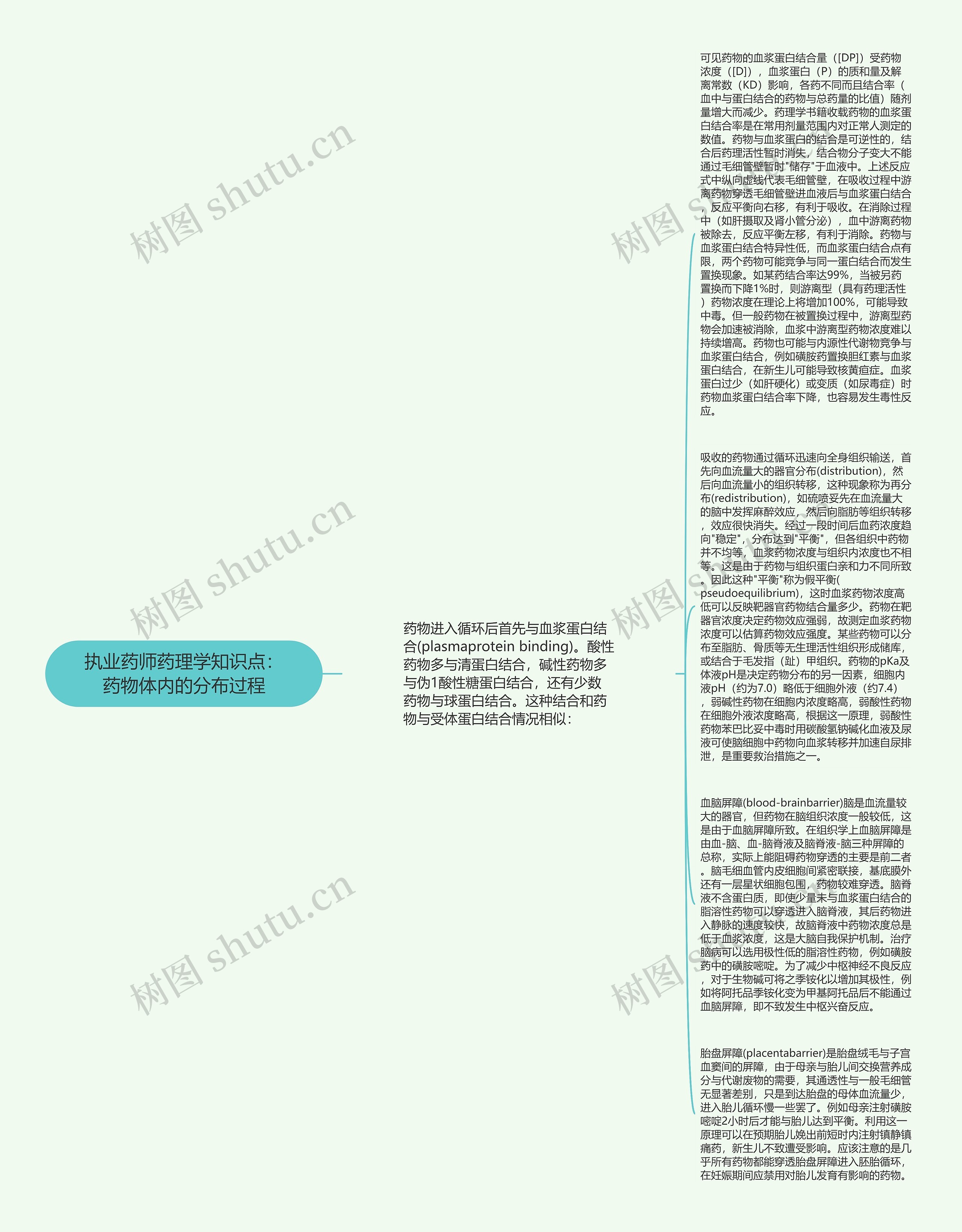 执业药师药理学知识点：药物体内的分布过程思维导图