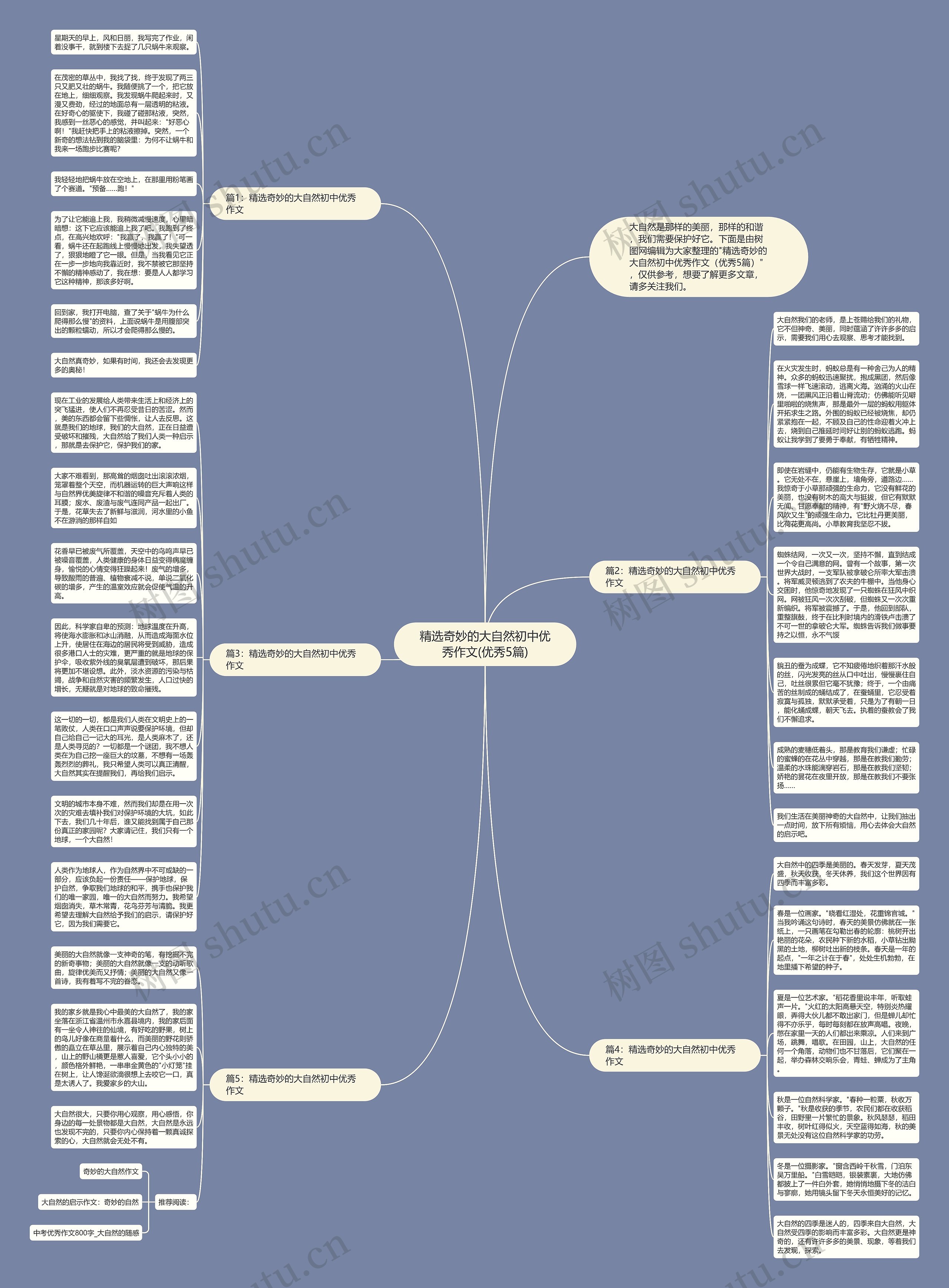 精选奇妙的大自然初中优秀作文(优秀5篇)思维导图