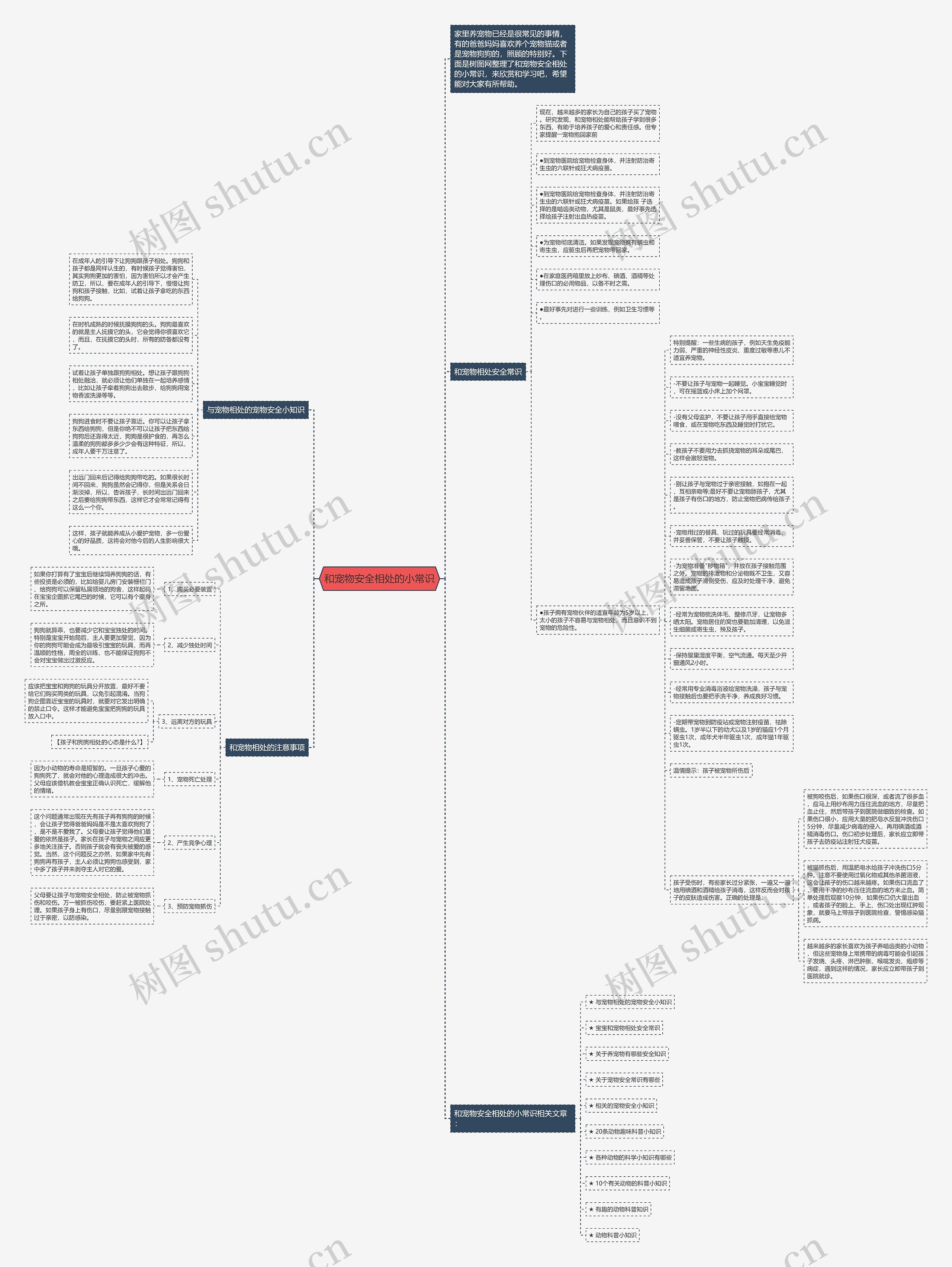 和宠物安全相处的小常识思维导图