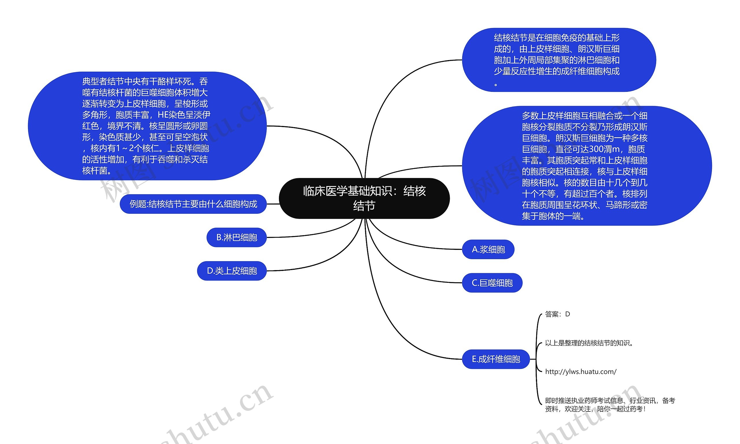 临床医学基础知识：结核结节