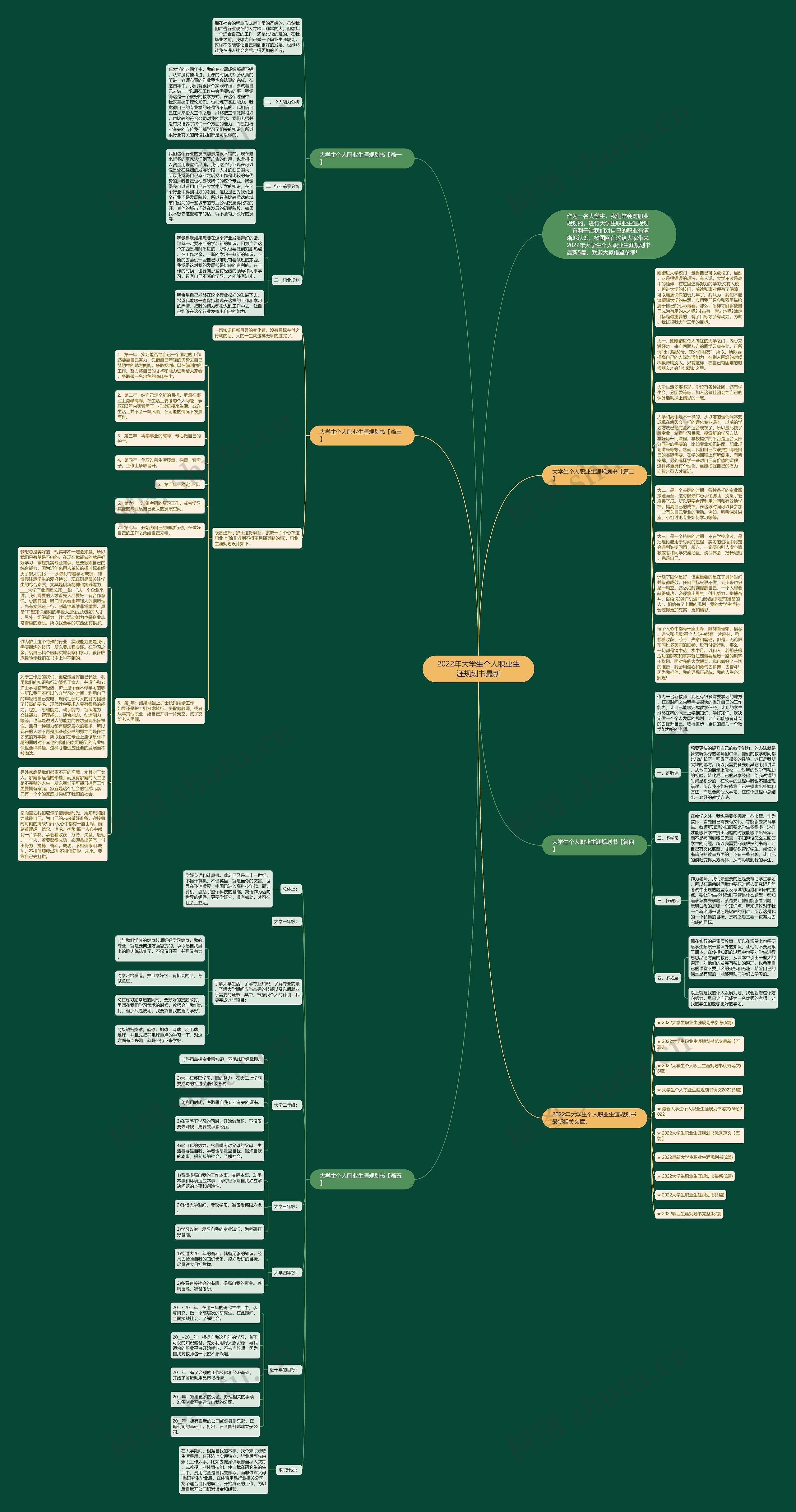 2022年大学生个人职业生涯规划书最新思维导图
