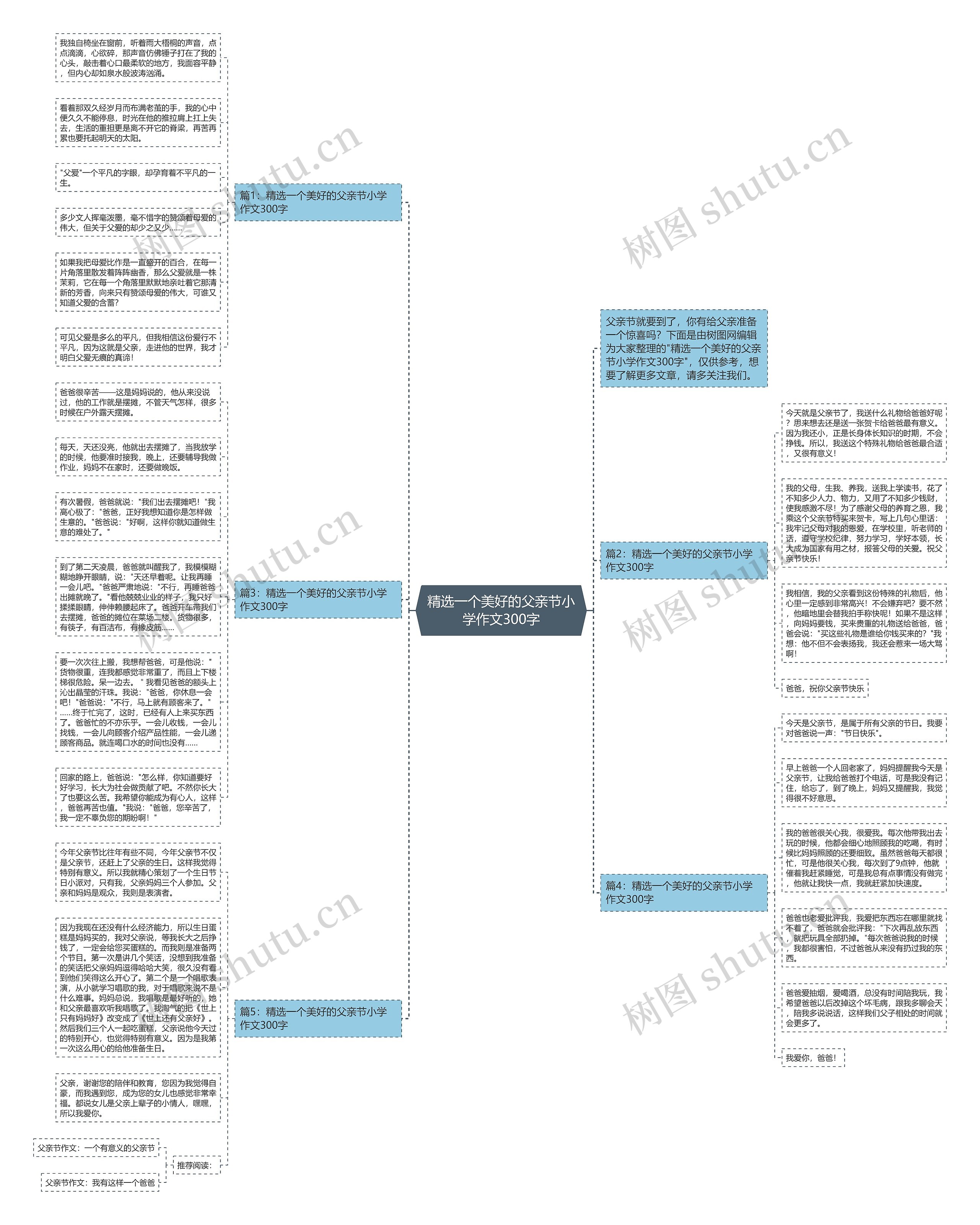 精选一个美好的父亲节小学作文300字思维导图