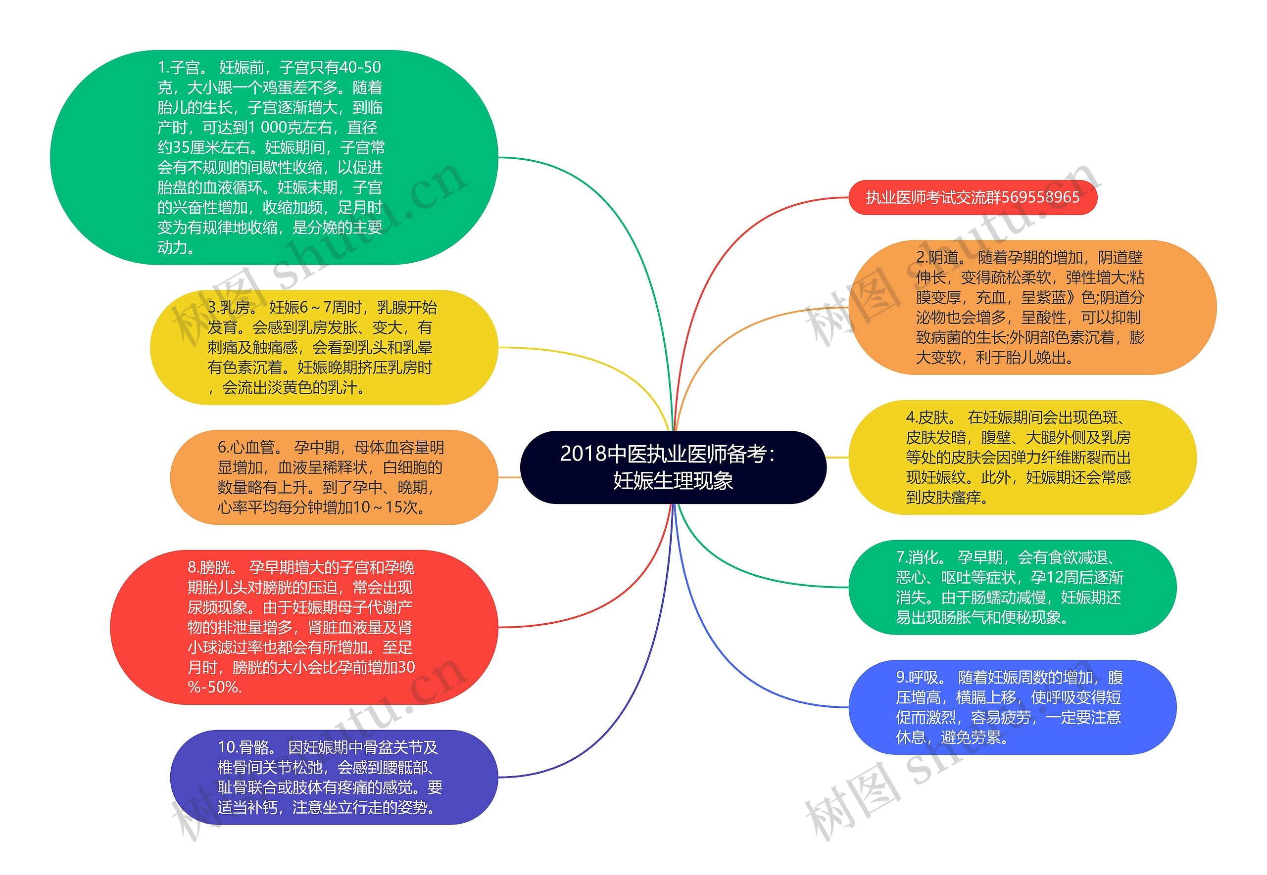 2018中医执业医师备考：妊娠生理现象