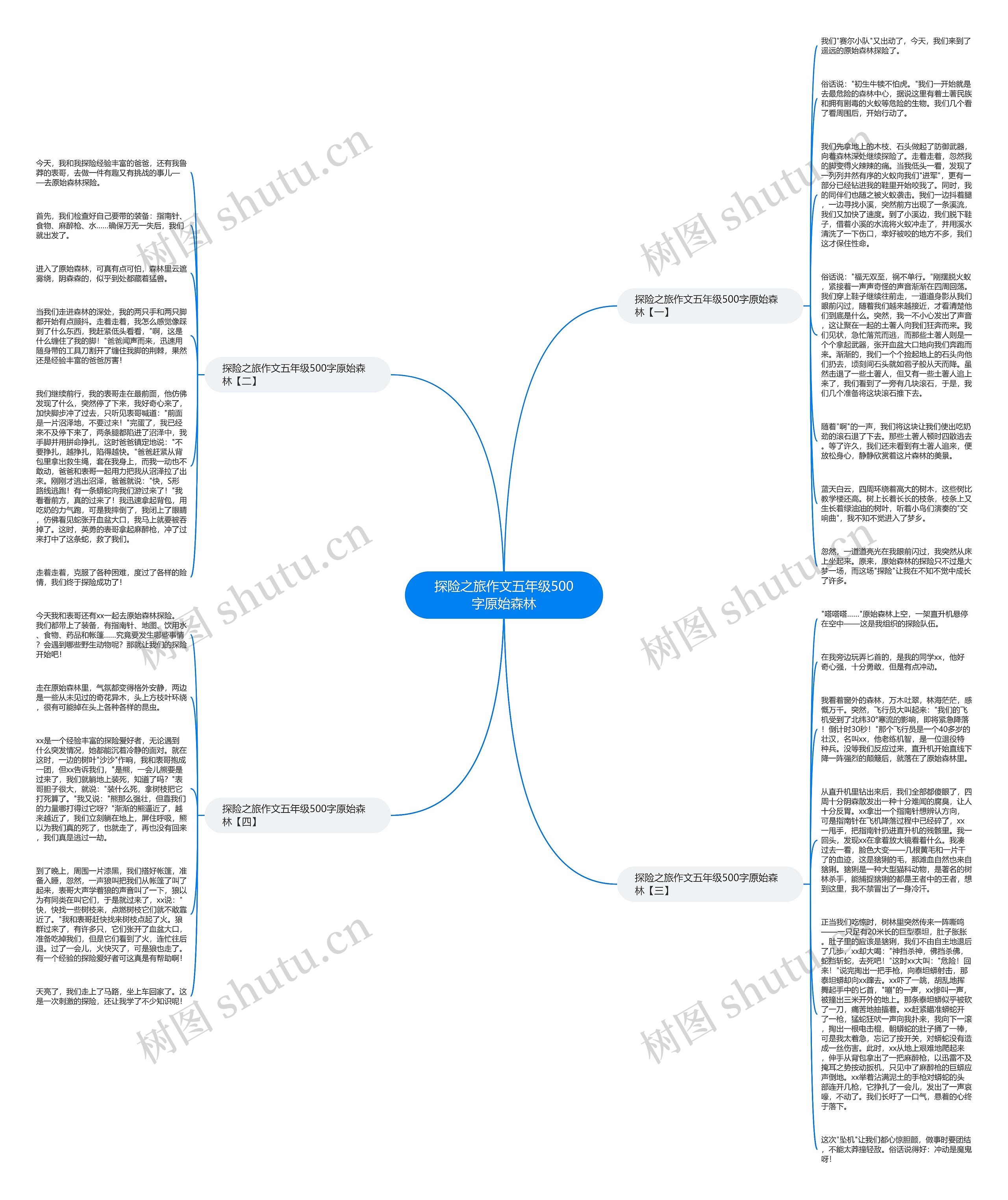 探险之旅作文五年级500字原始森林思维导图