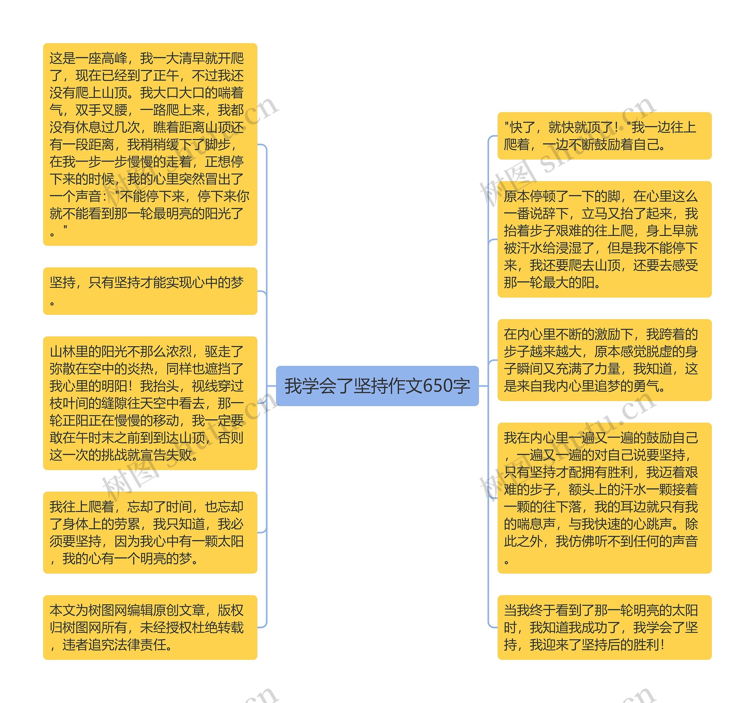 我学会了坚持作文650字