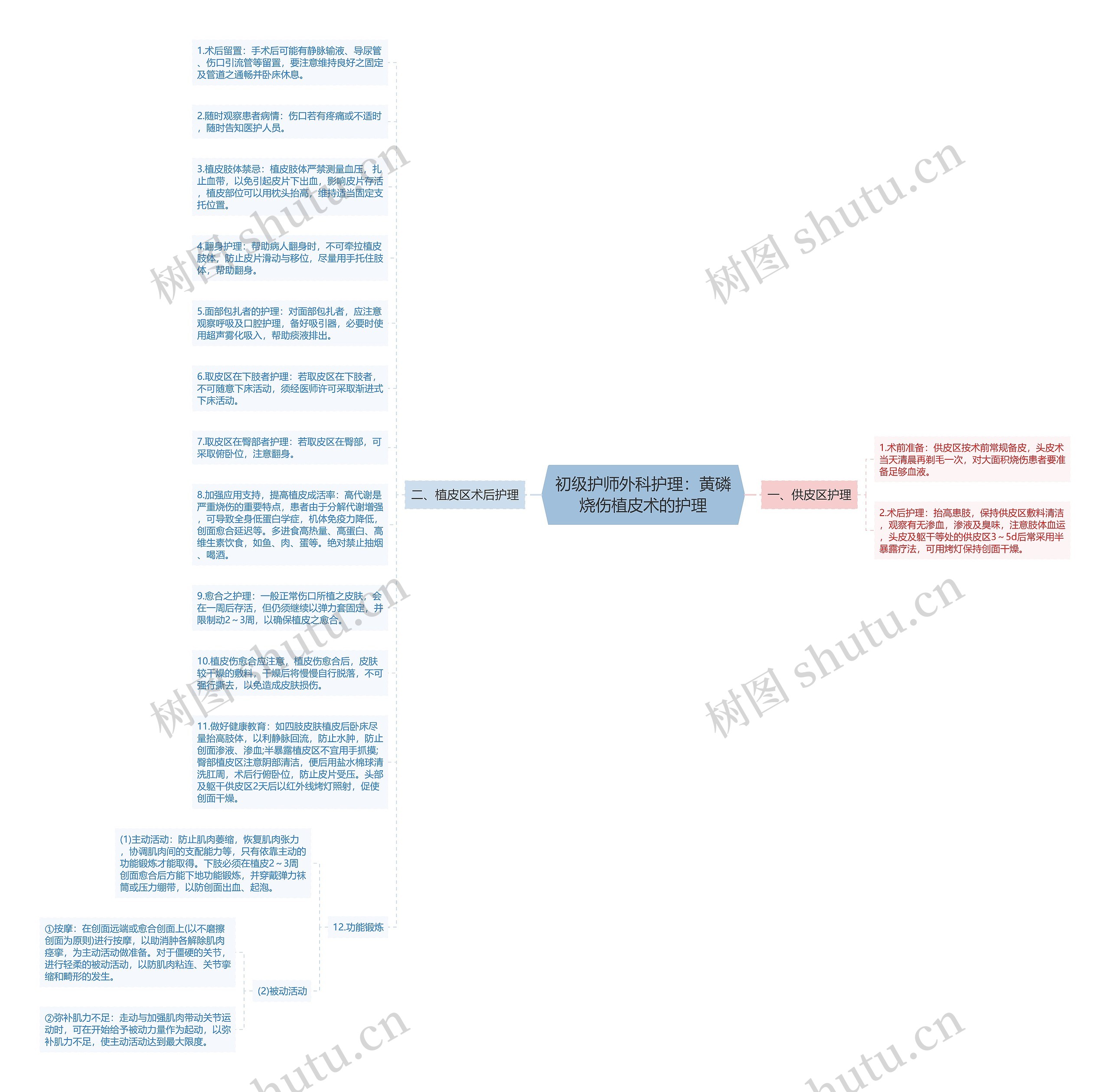 初级护师外科护理：黄磷烧伤植皮术的护理思维导图