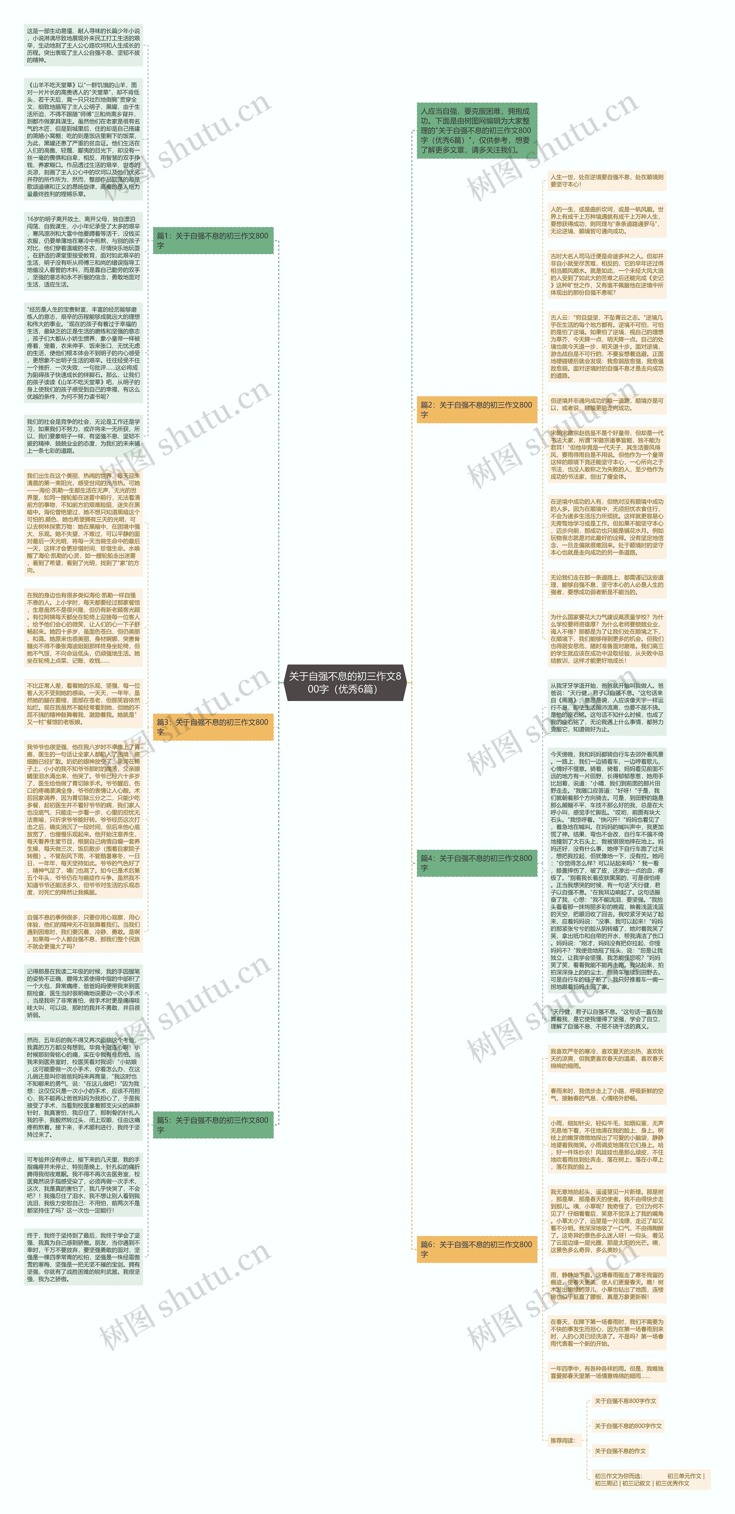 关于自强不息的初三作文800字（优秀6篇）思维导图