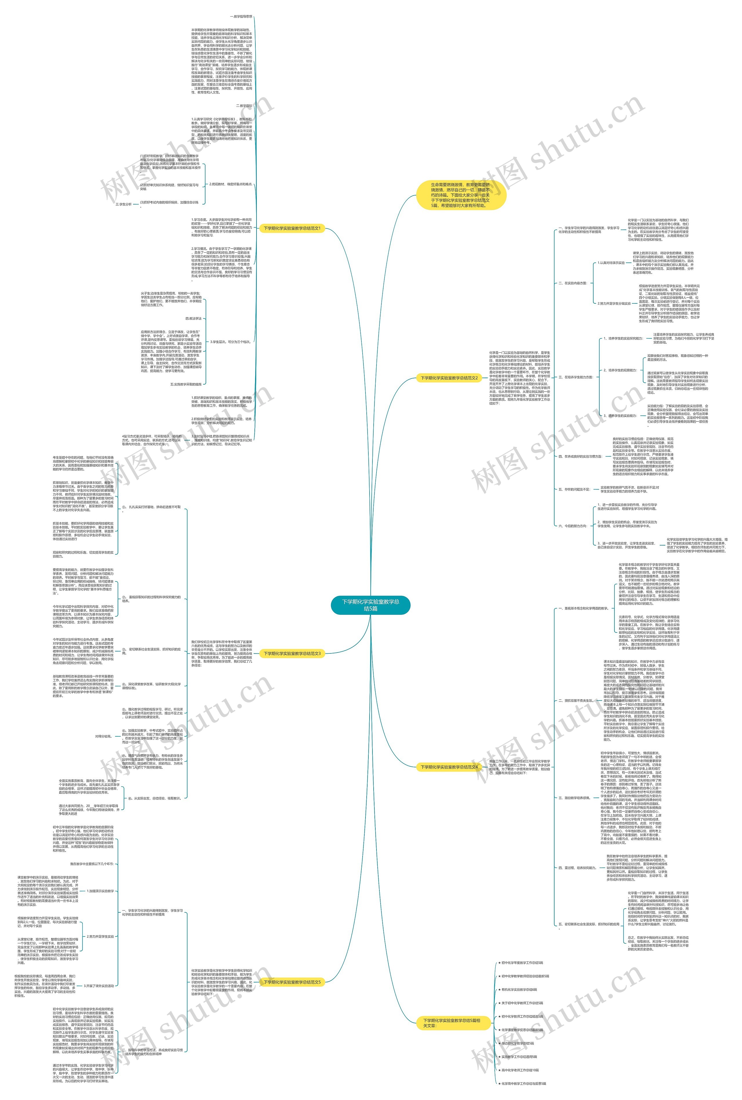 下学期化学实验室教学总结5篇思维导图