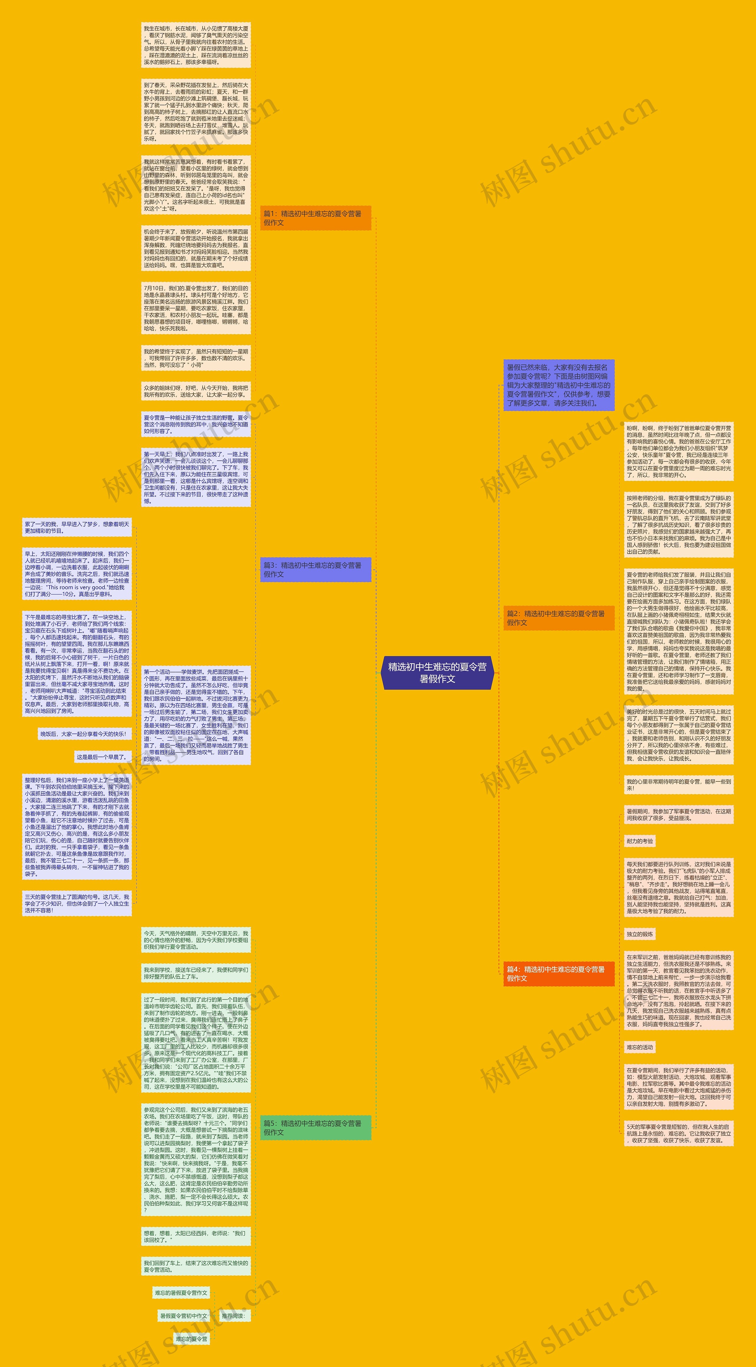 精选初中生难忘的夏令营暑假作文思维导图