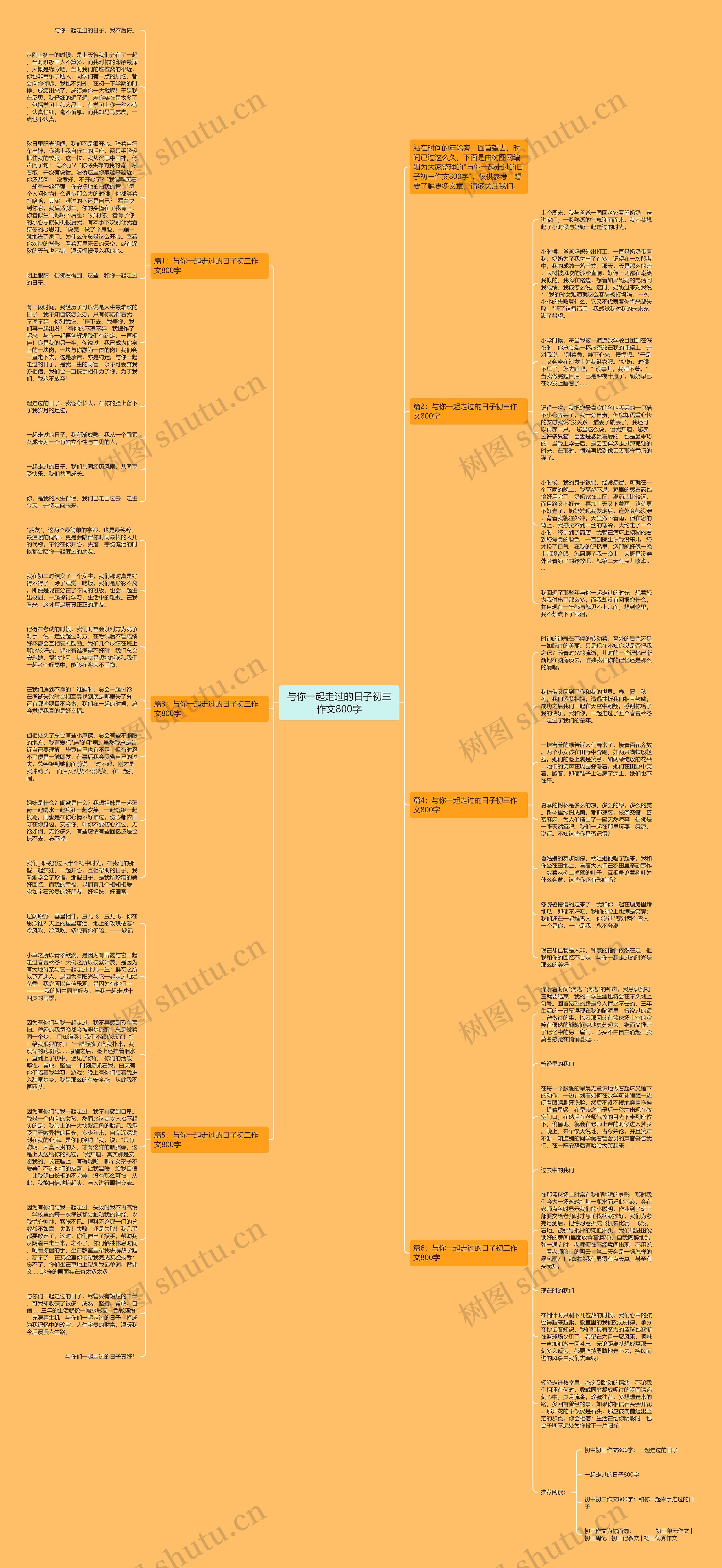 与你一起走过的日子初三作文800字思维导图