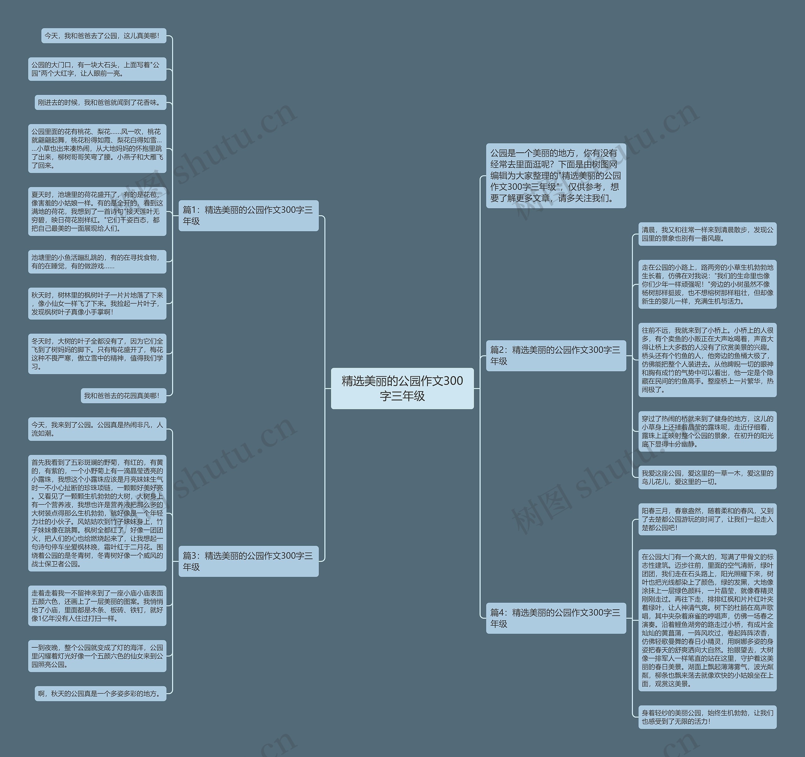 精选美丽的公园作文300字三年级思维导图