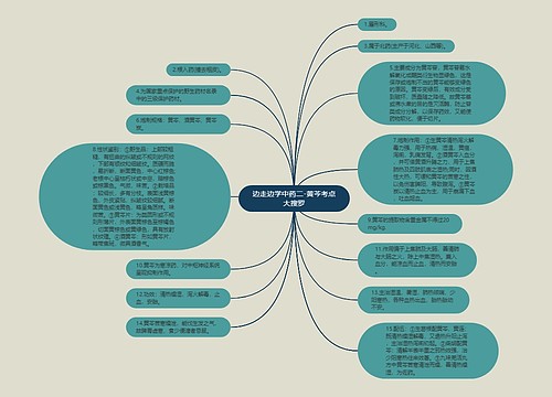 边走边学中药二-黄芩考点大搜罗思维导图