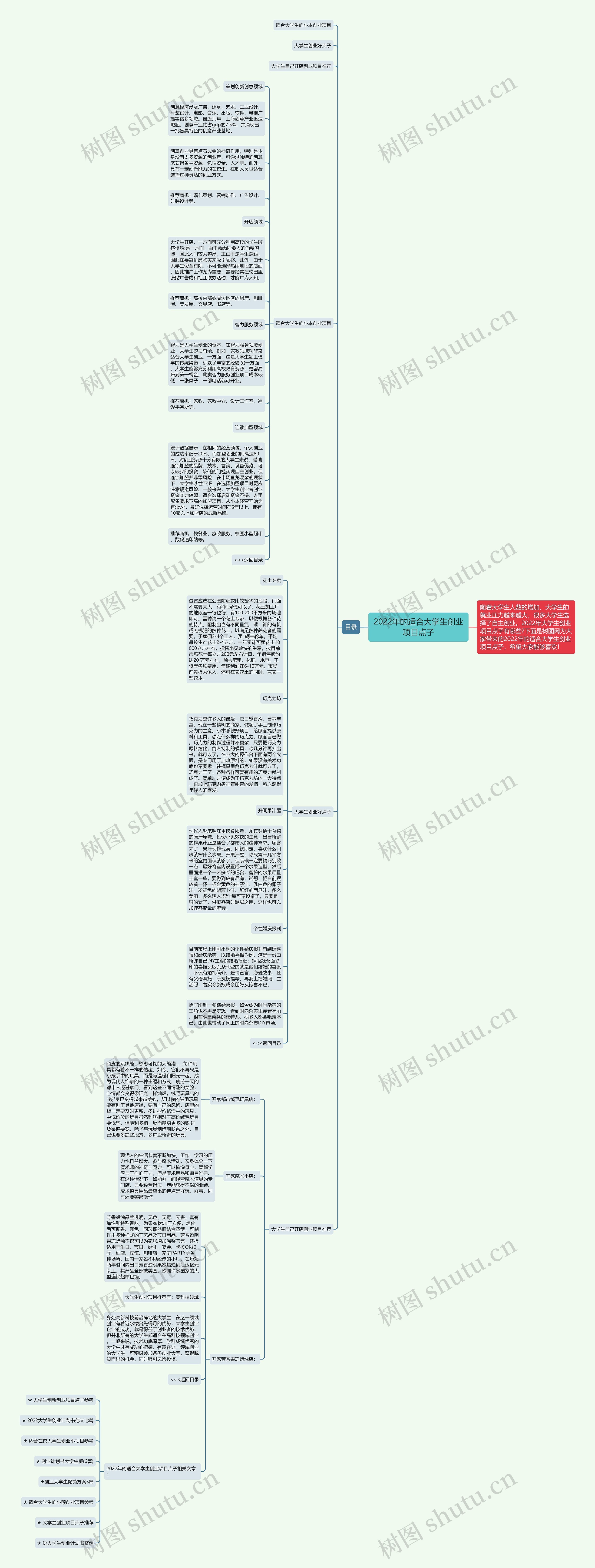 2022年的适合大学生创业项目点子思维导图