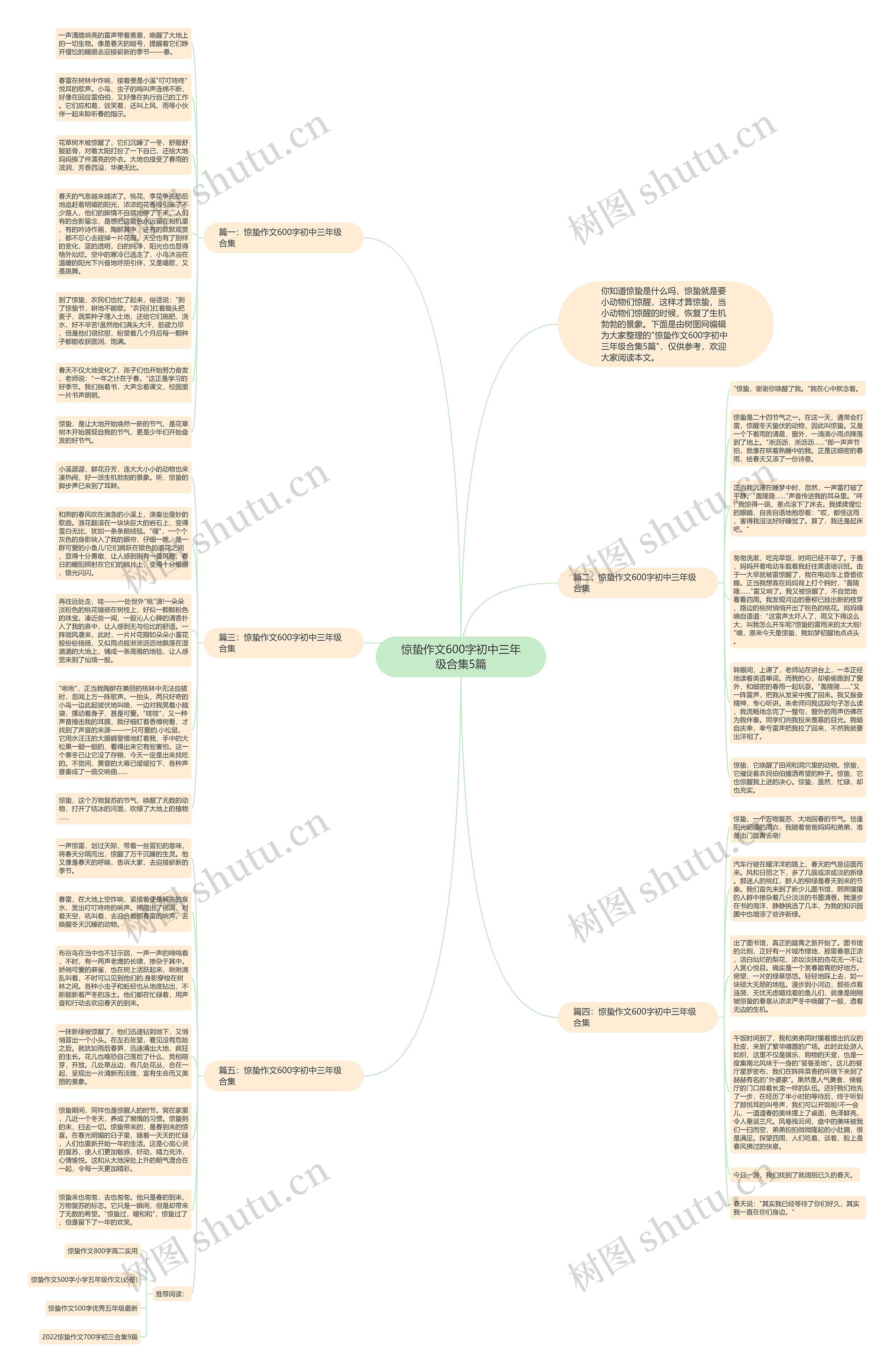 惊蛰作文600字初中三年级合集5篇思维导图