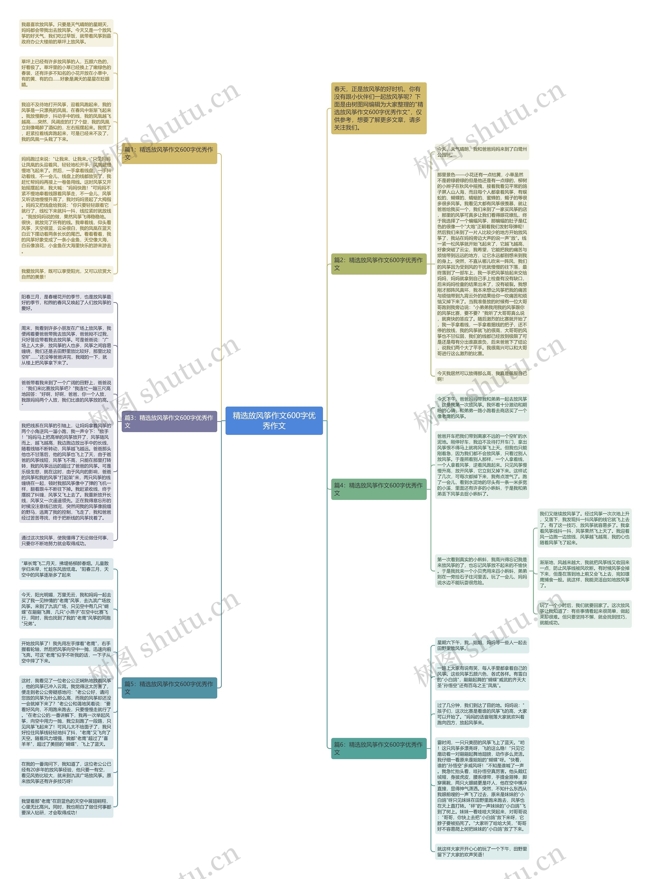 精选放风筝作文600字优秀作文思维导图