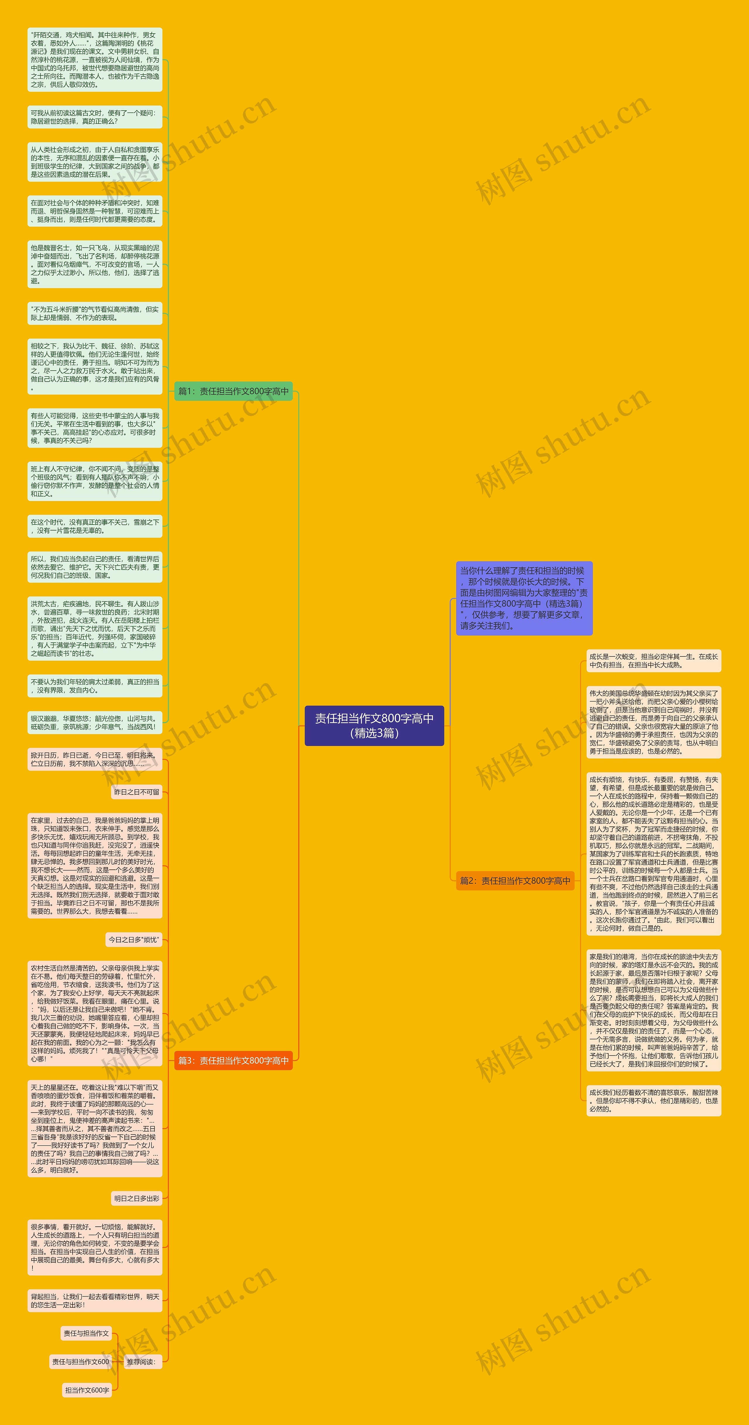 责任担当作文800字高中（精选3篇）思维导图