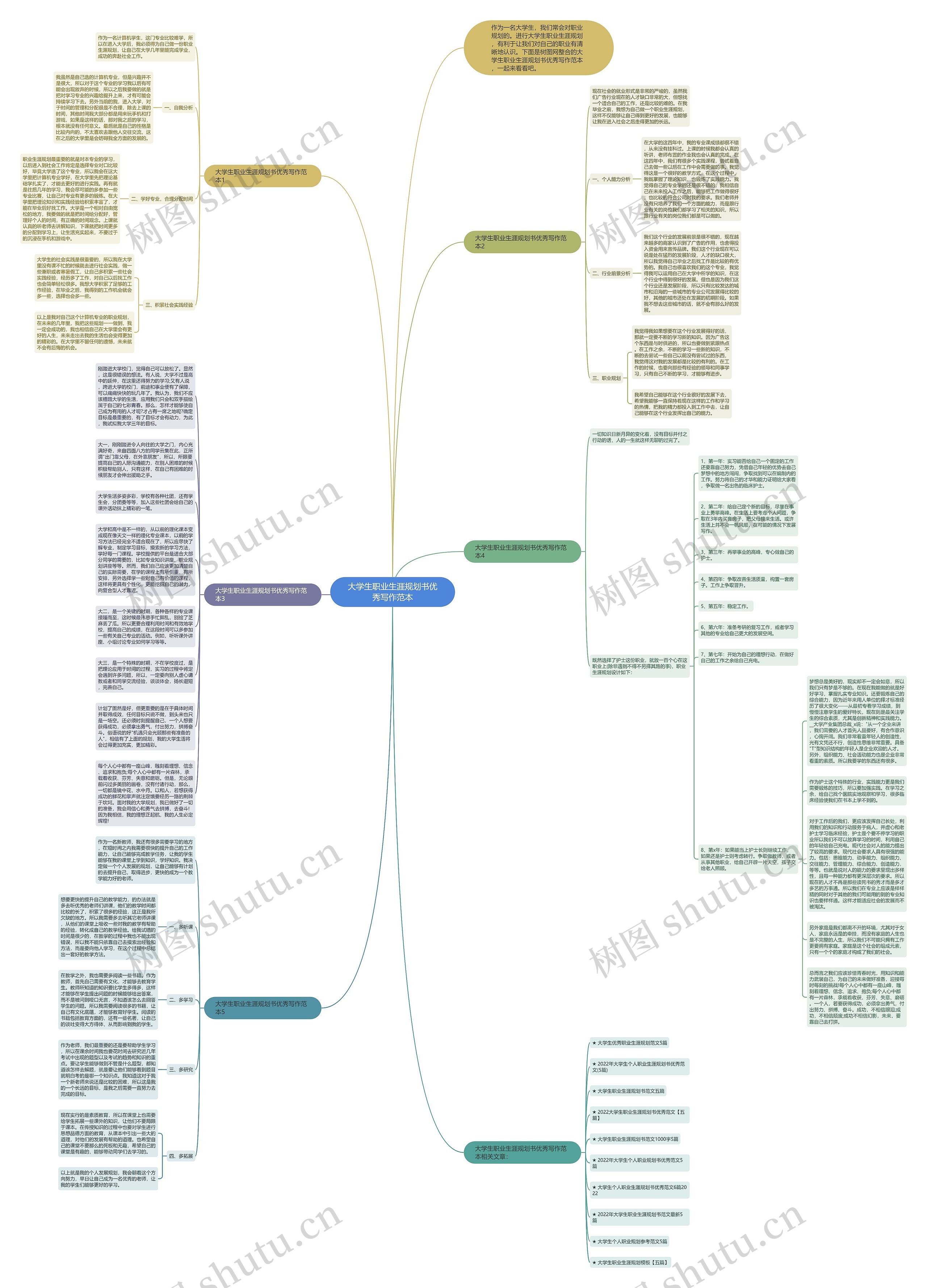 大学生职业生涯规划书优秀写作范本思维导图