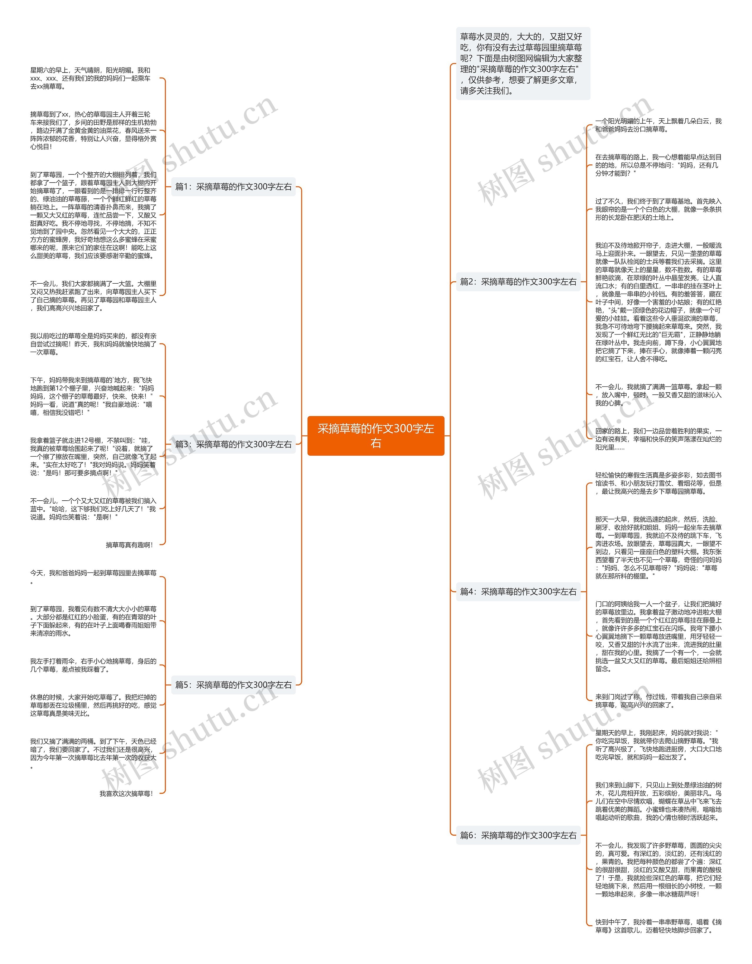 采摘草莓的作文300字左右思维导图