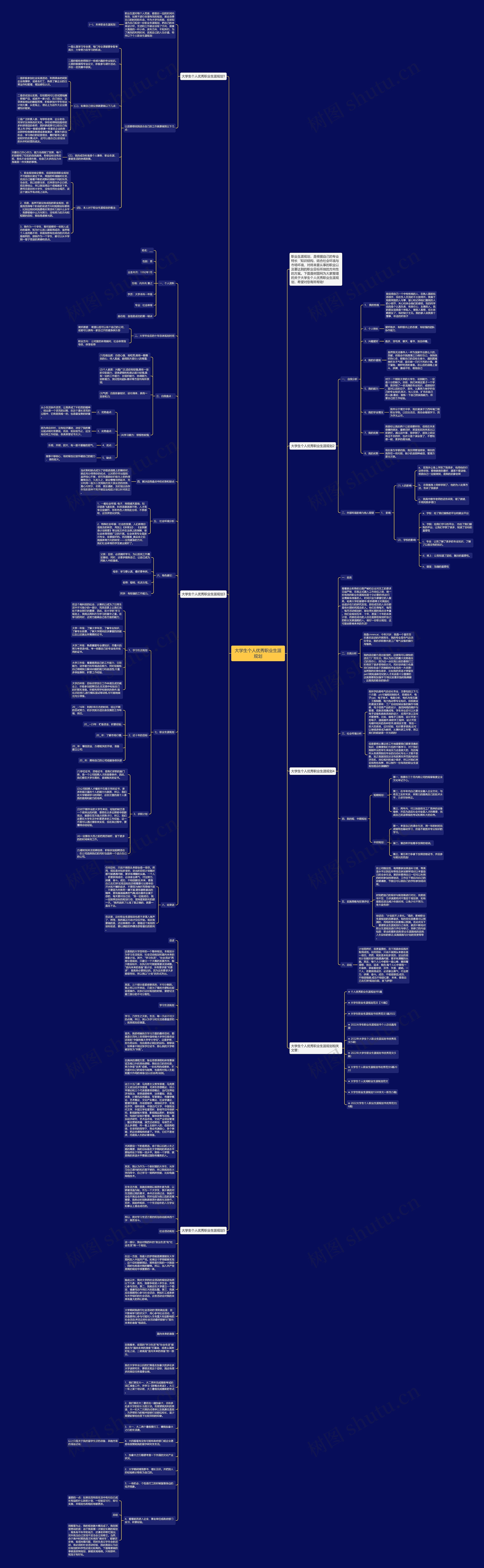 大学生个人优秀职业生涯规划思维导图