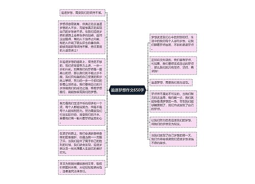 追逐梦想作文650字