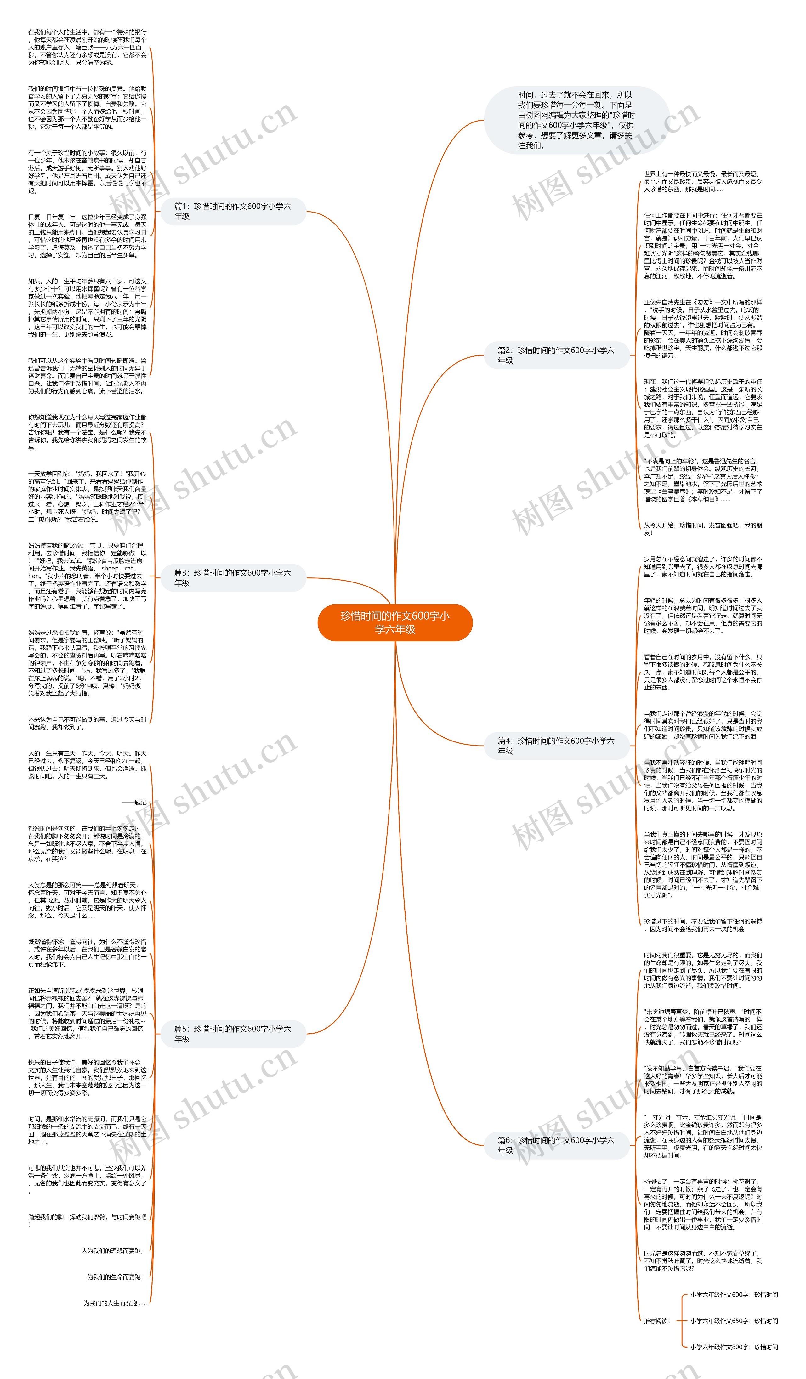 珍惜时间的作文600字小学六年级思维导图